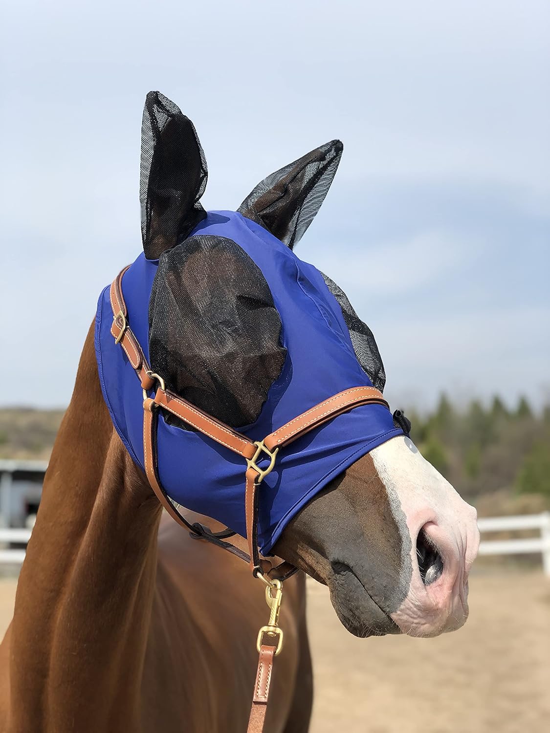 Horse Fly Mask Super Comfort Horse Fly Mask Elasticity Fly Mask with Ears We Only Make Products That Horses Like… (DK Blue, M)