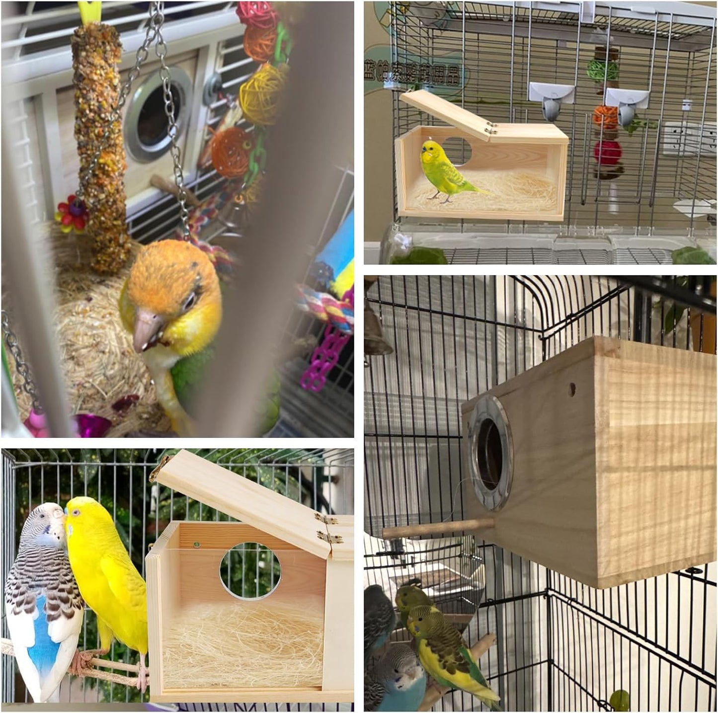 PINVNBY Nesting Box for Birds,Wooden Parakeet Nest Box with Detachable Board Transparent Visual Cockatiel House for Budgie Lovebird Conure Parrot (XL)