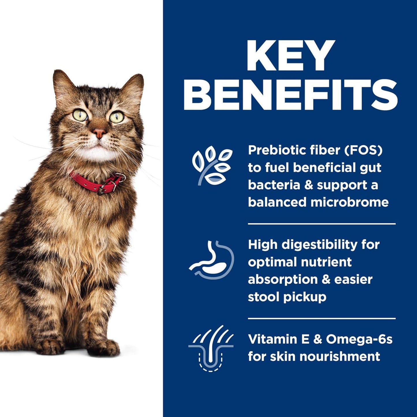 Hill's Science Diet Sensitive Stomach & Skin, Adult 1-6, Stomach & Skin Sensitivity Support, Dry Cat Food, Chicken & Rice, 15.5 lb Bag