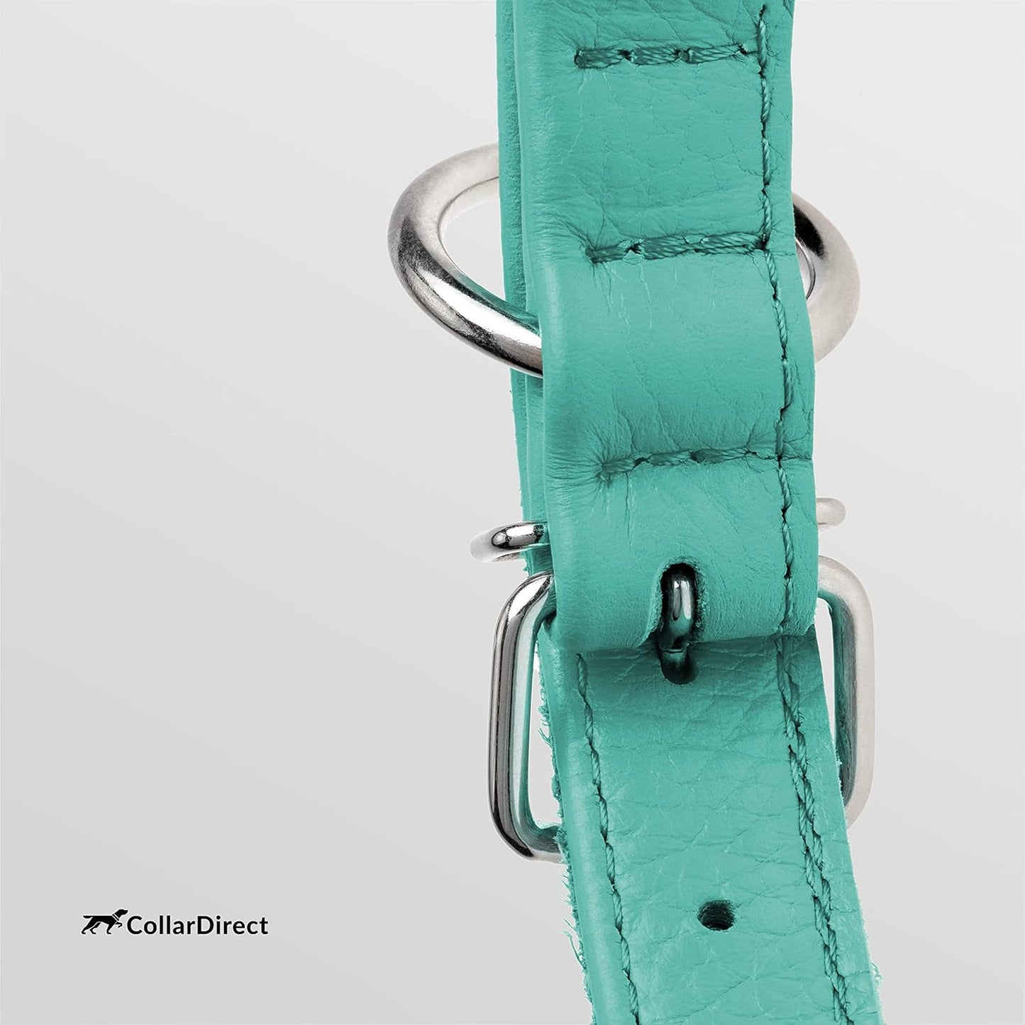CollarDirect Rolled Leather Dog Collar, Soft Padded Round Puppy Collar, Handmade Genuine Leather Collar Dog Small Large Cat Collars 13 Colors (6-7 Inch, Mint Green Textured)