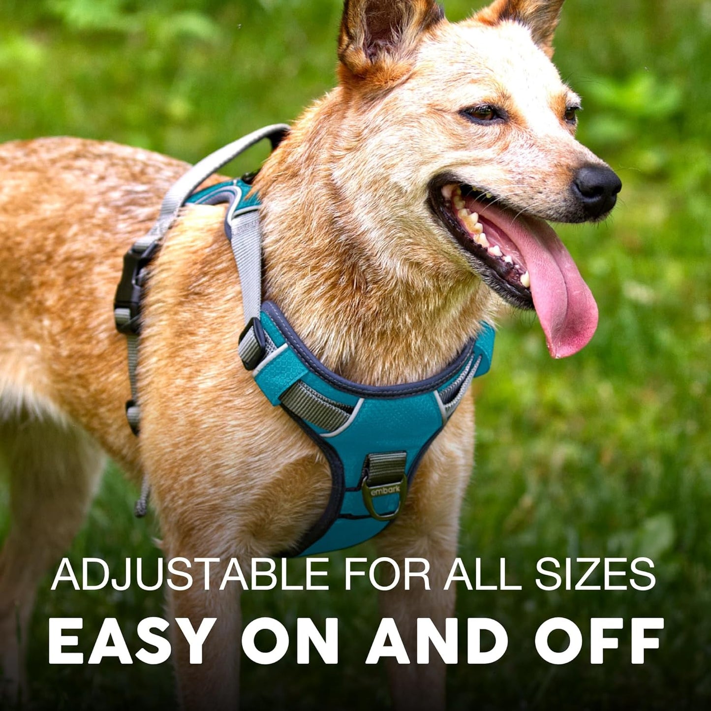 Embark Adventure Dog Harness, Reflective Trim No Pull Dog Harness for Large Dogs - Military Grade Nylon, Front Clip with Gel Lined Handle.