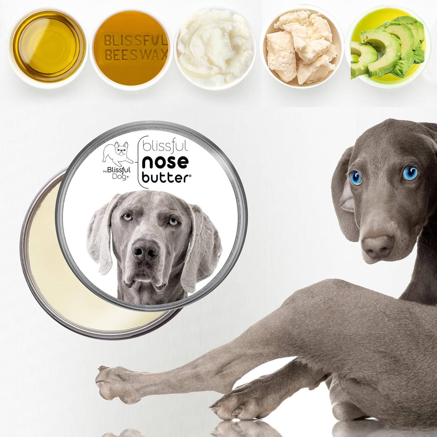 The Blissful Dog Weimaraner Unscented Nose Butter - Dog Nose Butter, 4 Ounce