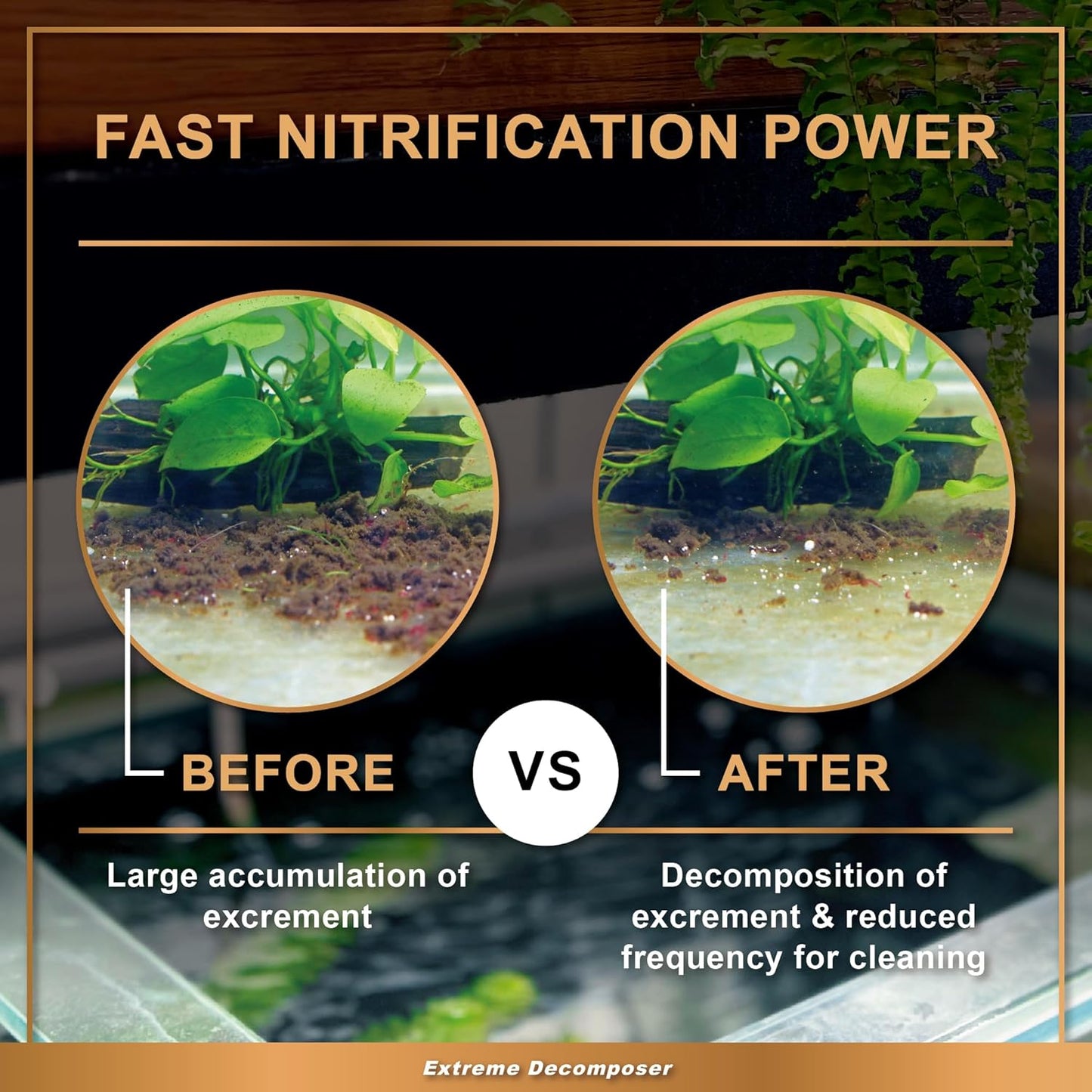 AZOOPLUS BIO XD Extreme Decomposer Nitrifying Bacteria for Freshwater and Saltwater Fish Tank 33.8 Ounces