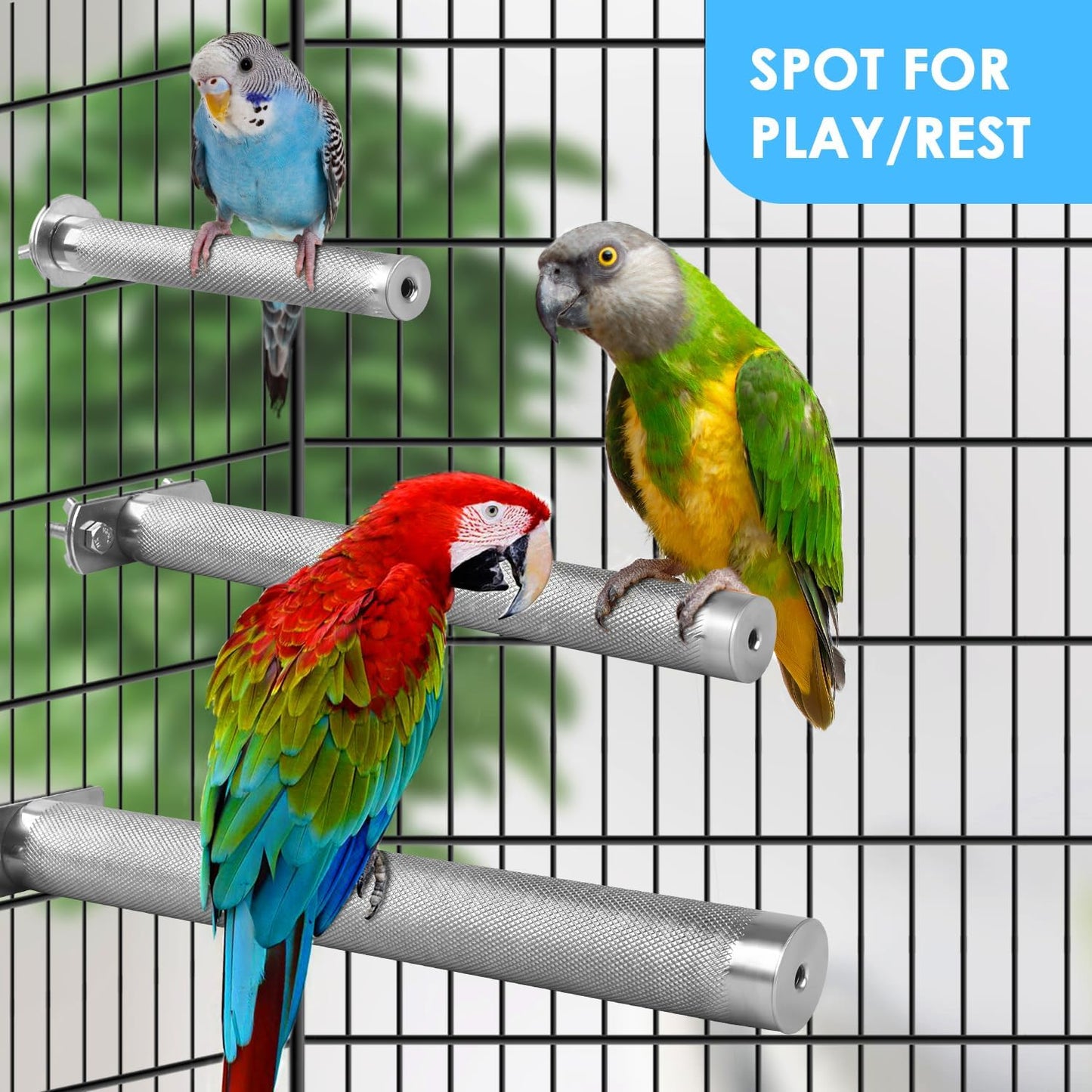 KATUMO Conure Perch - Stainless Steel Bird Stand Rough-surfaced Branch for Small Birds (6 x 0.7 inch)