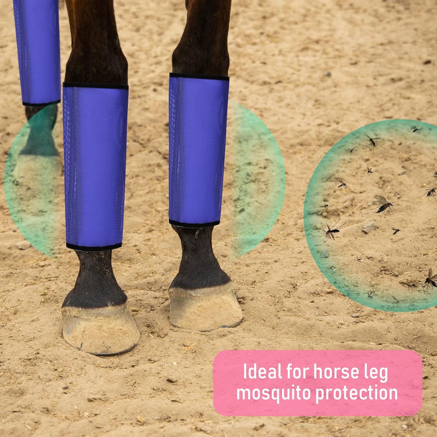 Jexine 12 Fly Boots for Horse Set of 12 Loose Breathable Mesh Horse Fly Sheets Protective Horse Leg Wraps Leggings for Preventing Flies and Mosquitoes Bites (Purple, Red, Pink)
