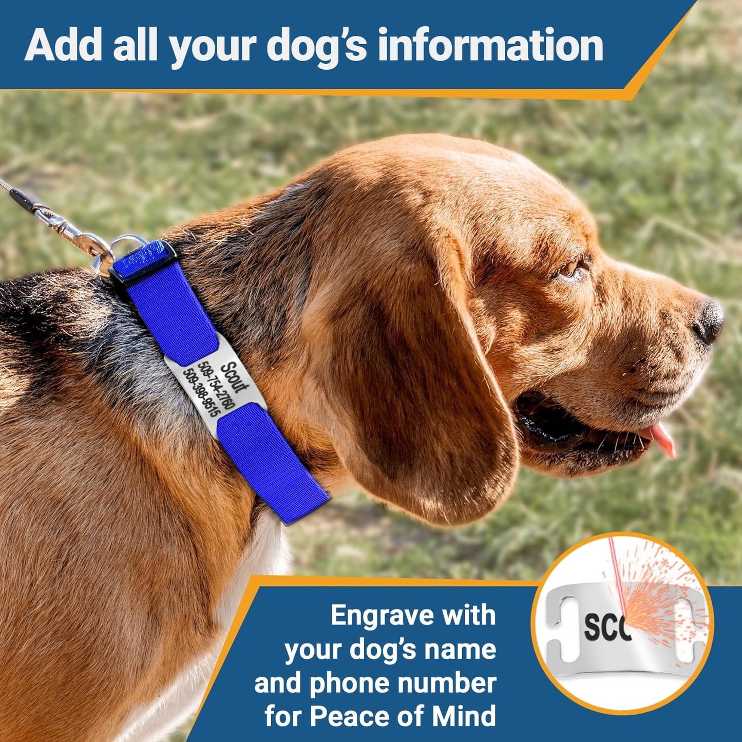 GoTags Reflective Personalized Dog Collar with Nameplate, Adjustable Dog Collar with Custom Engraved Steel Slide On Pet ID Tag, Silent, No Noise Dog Tag for Large Medium or Small (Orange, Large)