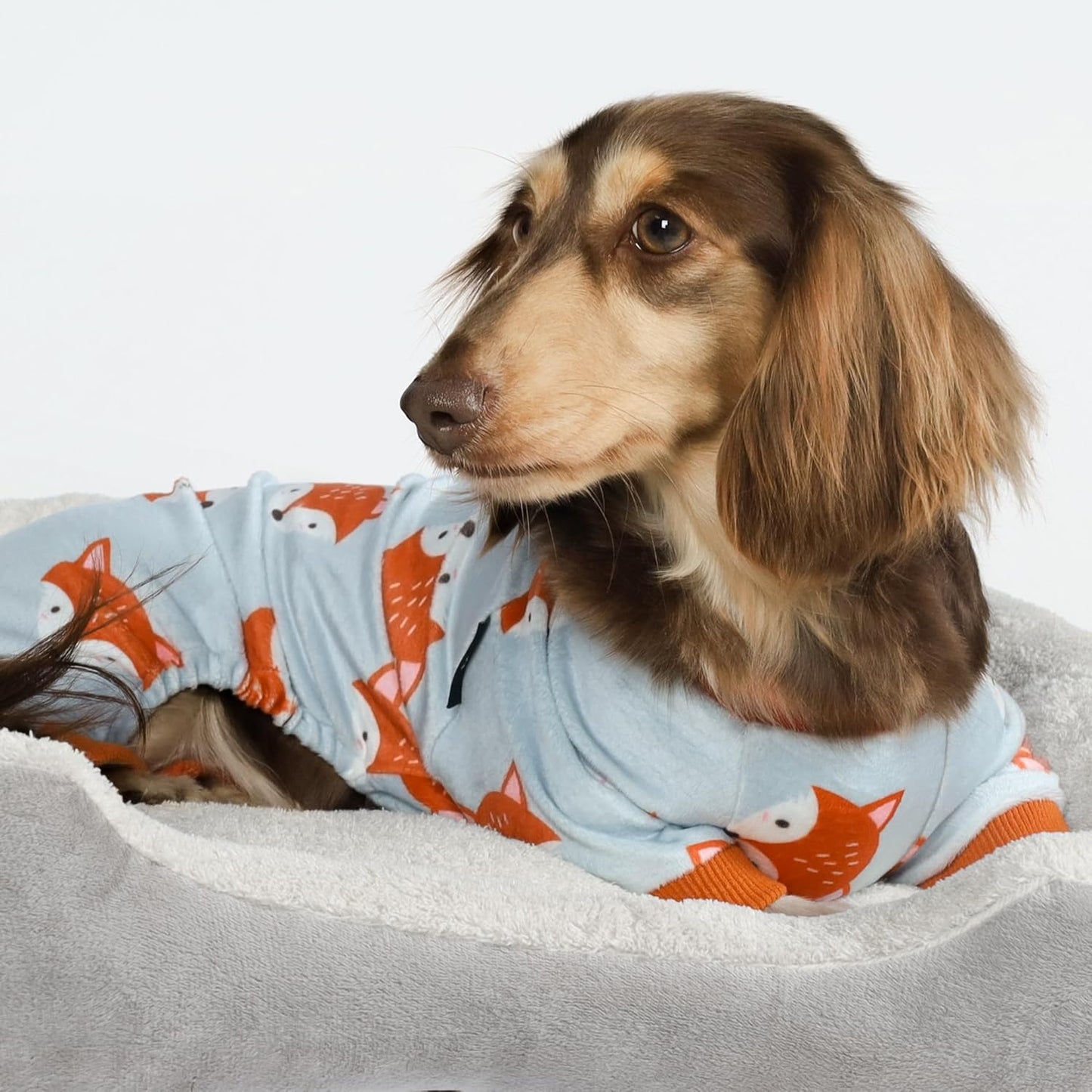 Fitwarm Funny Fox Dog Pajamas, Warm Dog Onesie, Dog Clothes for Small Dogs Girl Boy, Lightweight Velvet, Pet Outfit, Gray, Orange, XXL