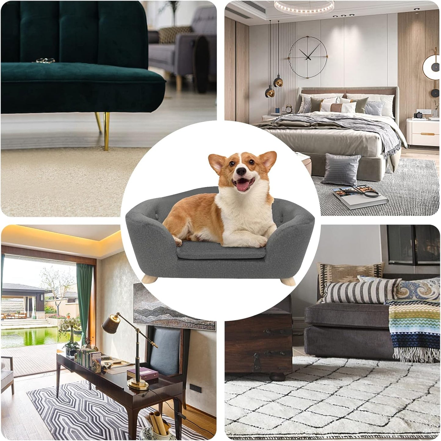 SHAVI Pet Sofa Dog Couch for Small Pet Dog and Cats, Low Back Lounging Bed with Velvet Modern Cat Couch Easy-to-Clean(Grey)