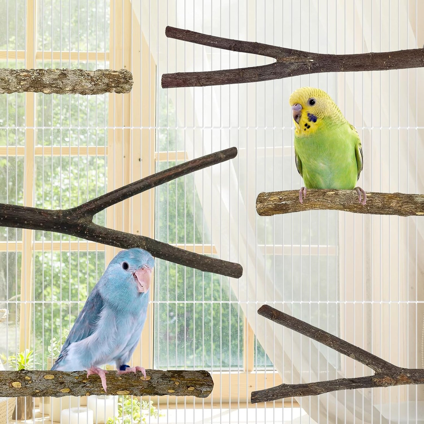 kathson 8 PCS Natural Bird Wood Perch Parakeet Standing Toy Sticks Parrot Paw Grinding Branches Cockatiels Cage Chewable Accessories for Conures Macaws Finches