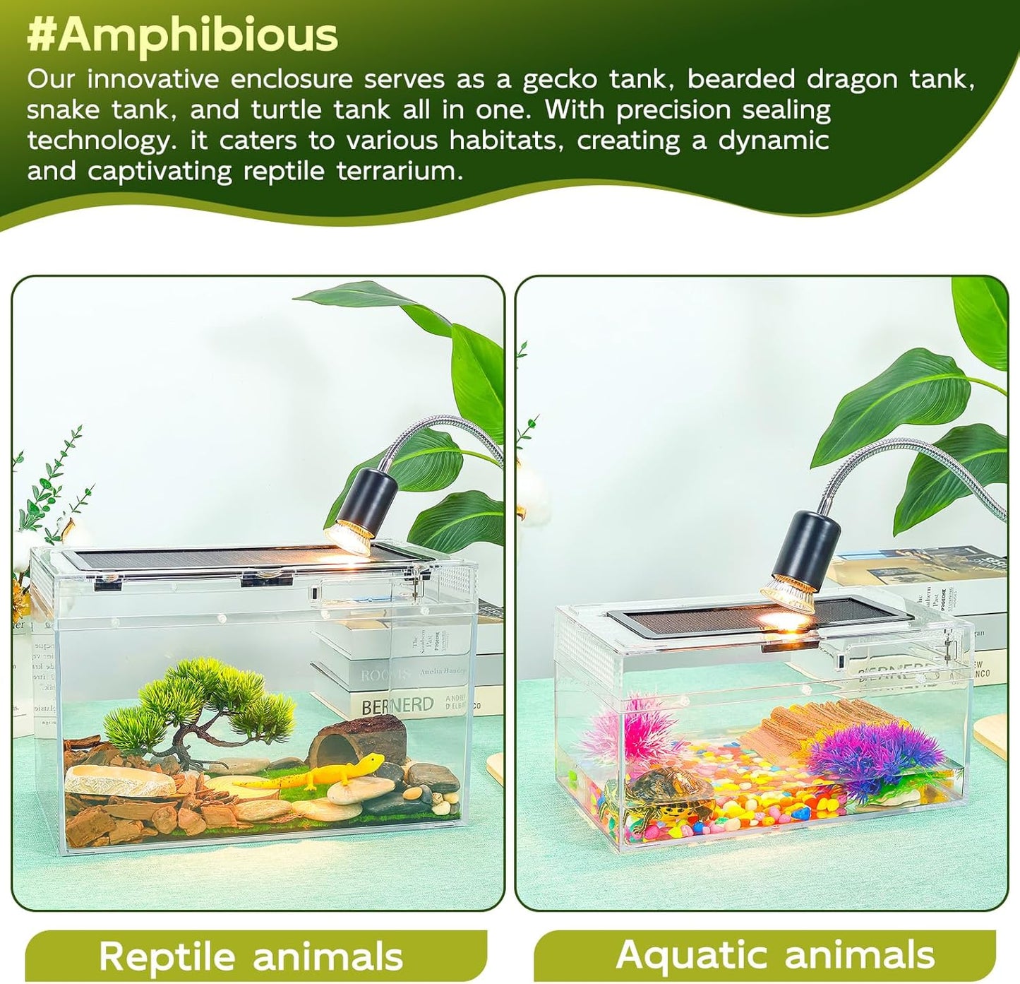 Reptile Tank Kit with Heat Lamp, Spray Bottle, Shovel, Tweezers, Food Bowl, Hideout -Perfect for Geckos, Jumping Spider,Milk Frog,Hermit Crabs,Snakes, Lizards (8''×8''×6'')