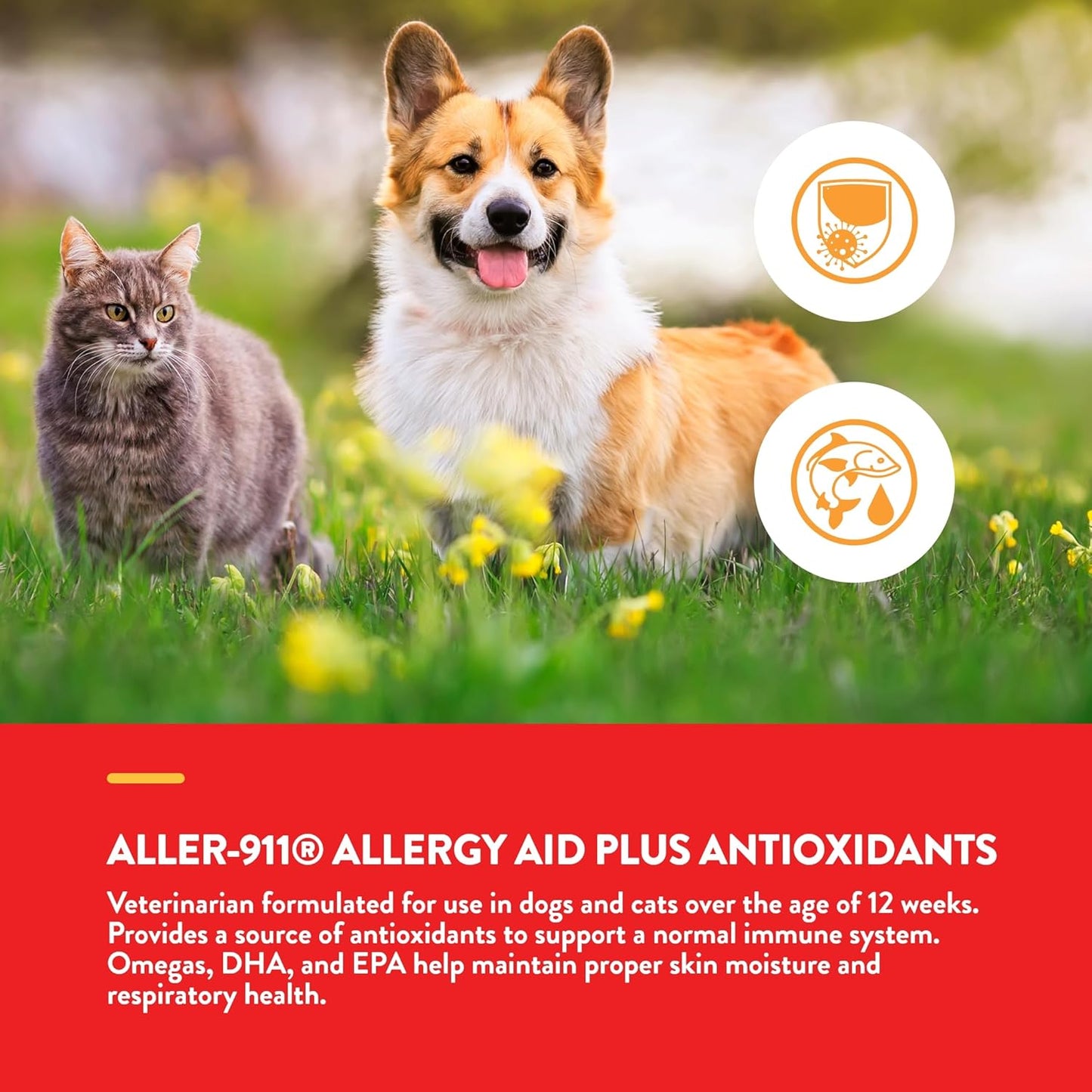 NaturVet Aller-911 Advanced Allergy Aid for Dogs, Cats – Antioxidant-Rich Pet Supplement with Omegas, DHA, EPA – Helps Support Dog Immune System, Cat Respiratory Health, Skin Moisture 60 Ct.