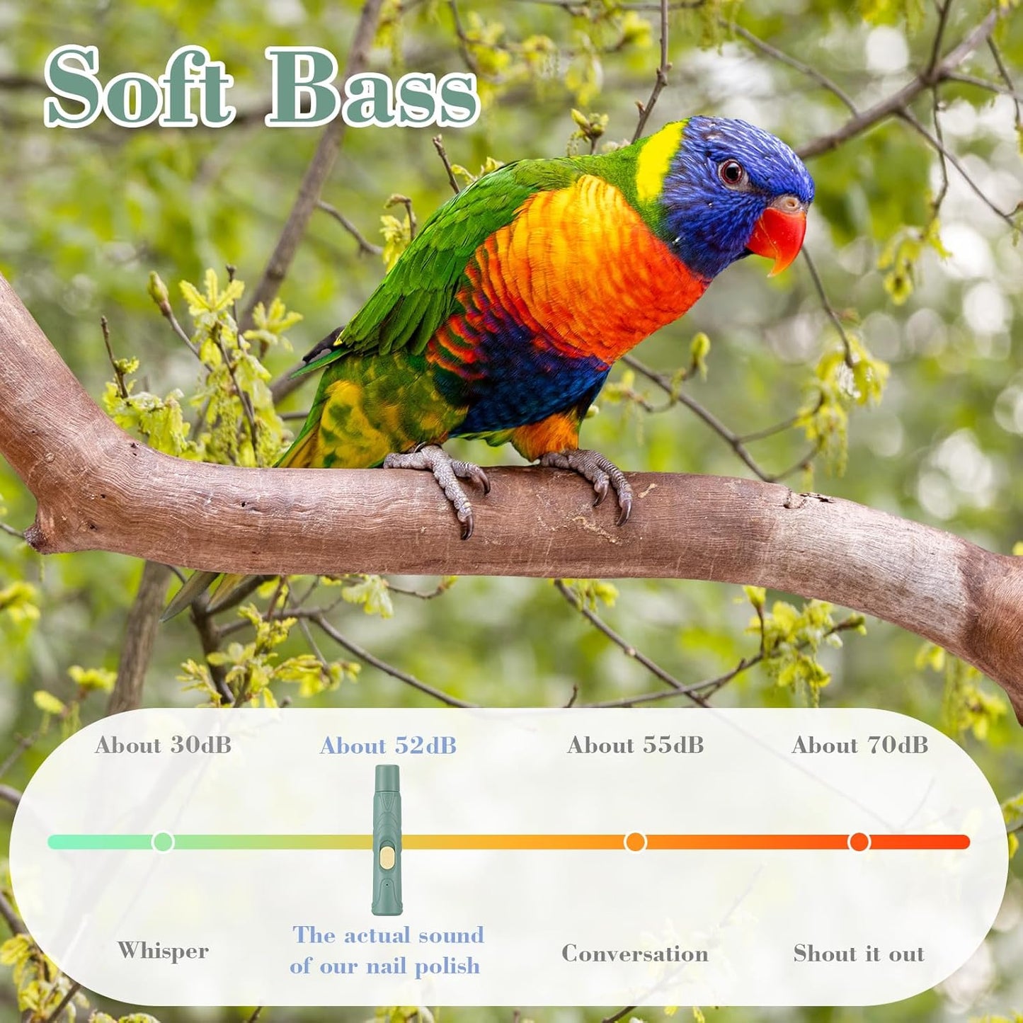 Lasnten 2 Pcs Bird Nail Grinder with Bird Nail Clipper Bird Nail Trimmer Bird Nail File with LED Lamp Grooming Tool for Bird Parrot Budgerigars Parakeets Myna Conure Finches Lovebirds (Green)