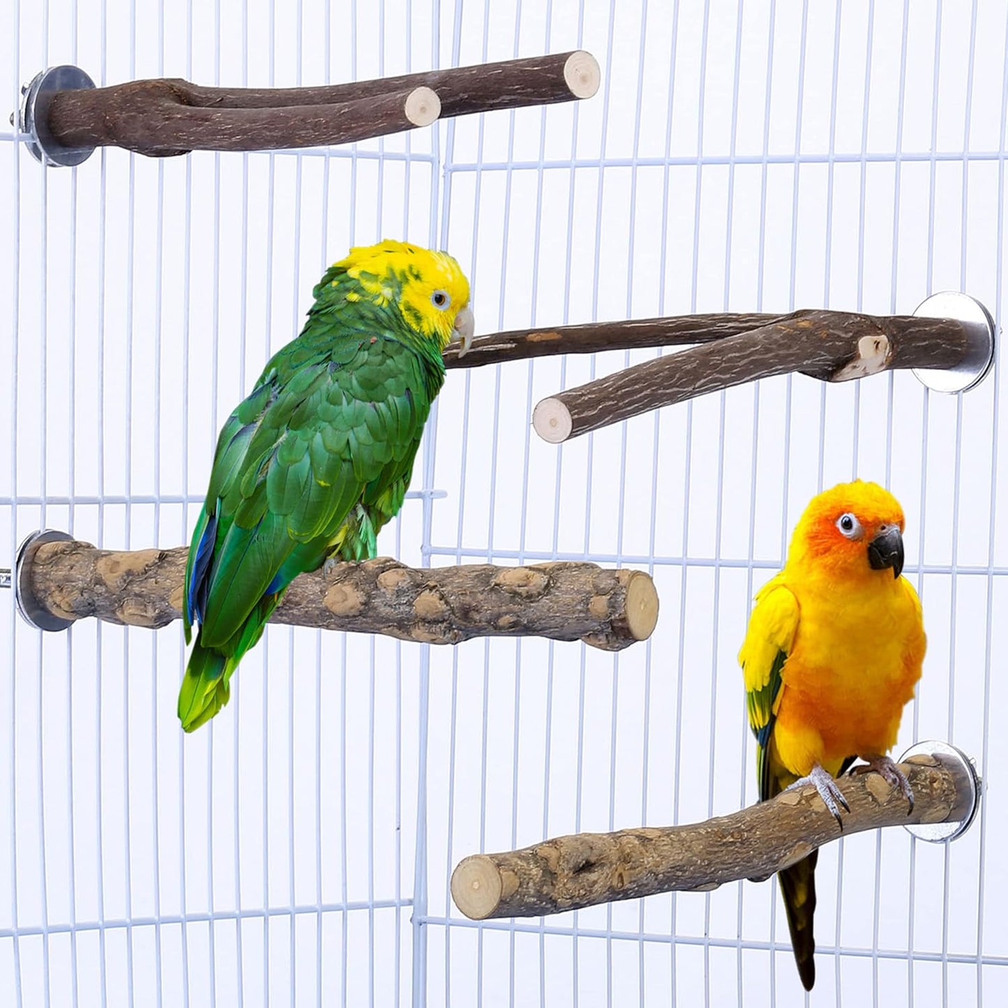 CozyCabin Natural Wood 4Pcs Bird Perches Stand, Hanging Cage Toys Accessories for Small Parrot Budgies Conure Parakeets Cockatiels Lovebirds