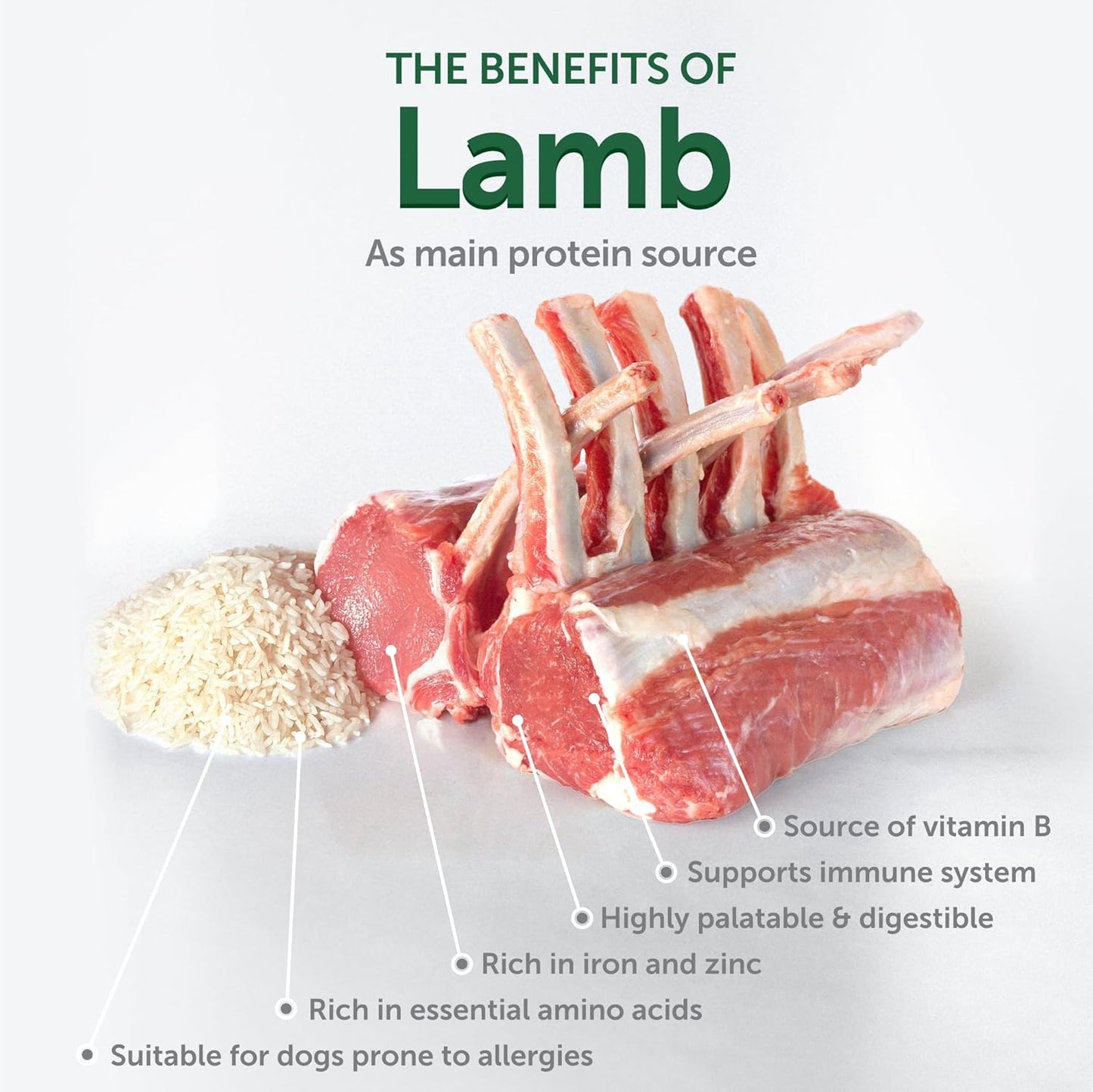 Nature's Protection Dry Dog Food for Small Breed - High Protein Tear Stain Diet for White & Light Fur Adult Dogs - Small Bites Kibble (Superior Care - Lamb and Rice, 22 lb)