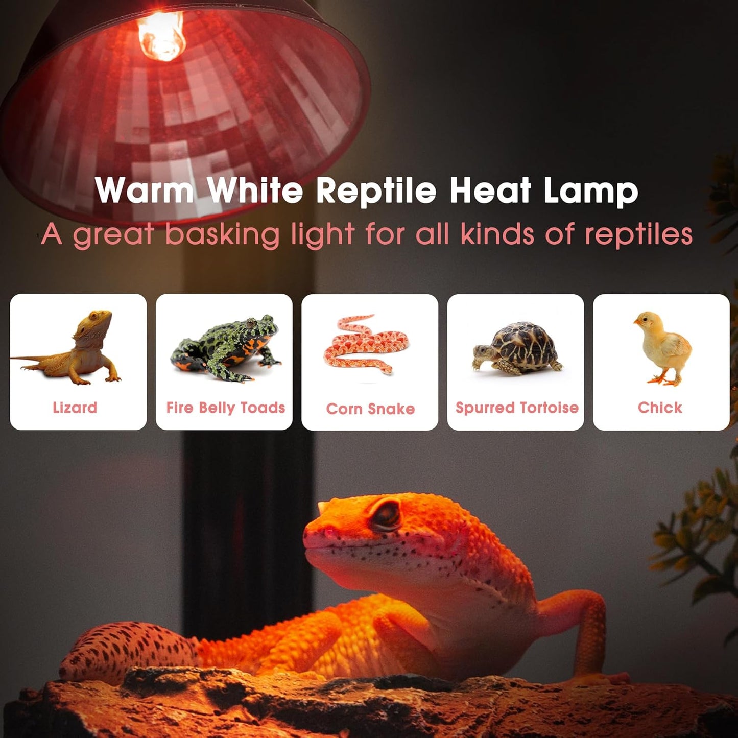 Briignite Reptile Heat Lamp Red, 50W G9 Heat Bulb & Dome Reptile Light Fixture, Aluminum Reflector, Dimmable Heat Lamp for Chicken, Turtle, Snake, Gecko, Lizard, 2 Pack