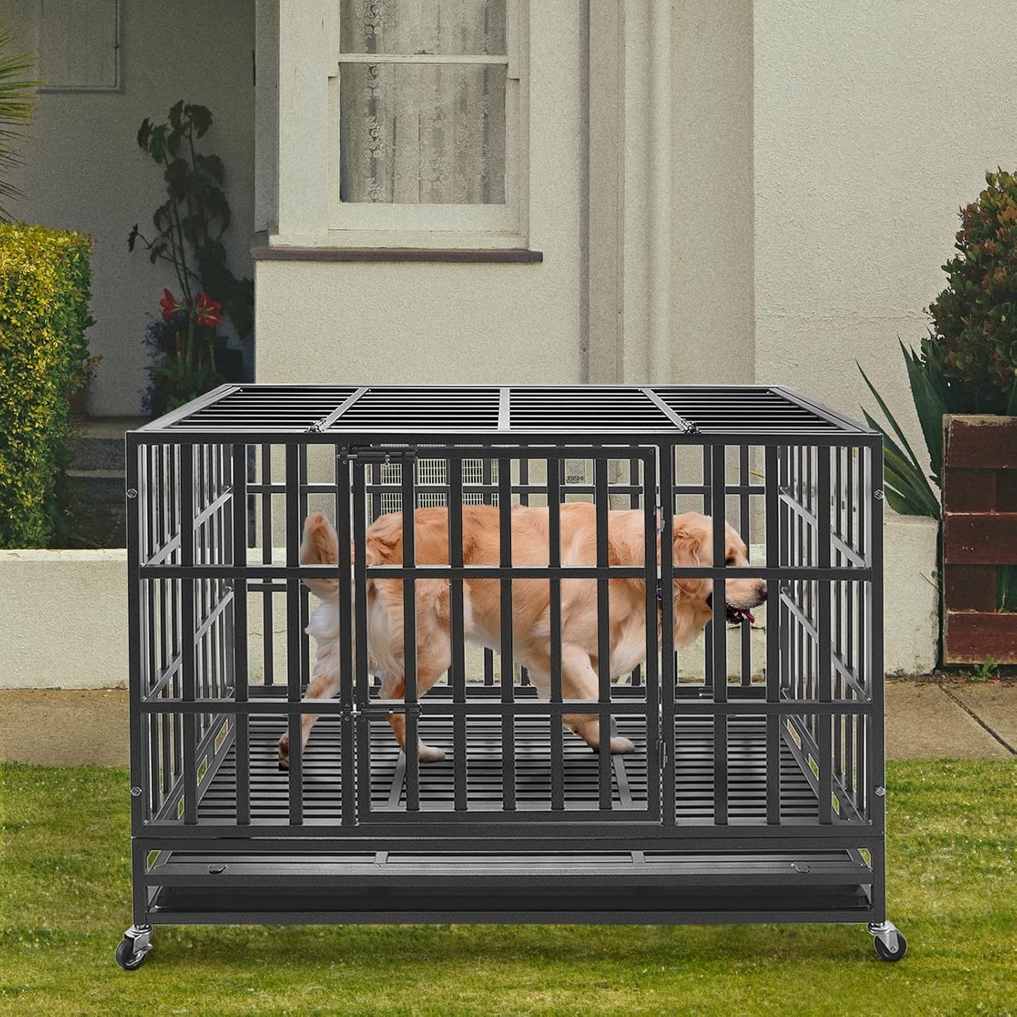 Confote 47Inch Heavy Duty Dog Kennel Strong Metal Dog Cage Pet Crate for Medium and Large Dogs with Four Lockable Wheels, Removeable Tray