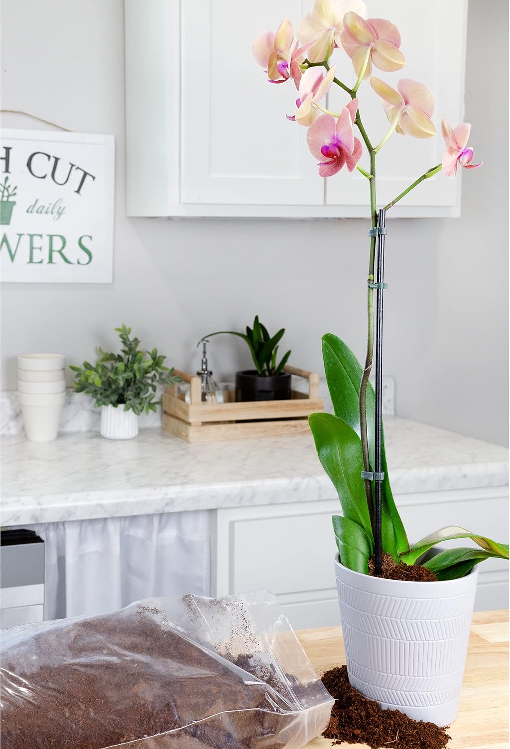 Loose Coconut Coir Mix (8 Quarts), Coconut Coir for Home Gardening - All Natural Soil additive - pH Balanced and Double Washed Coco Peat