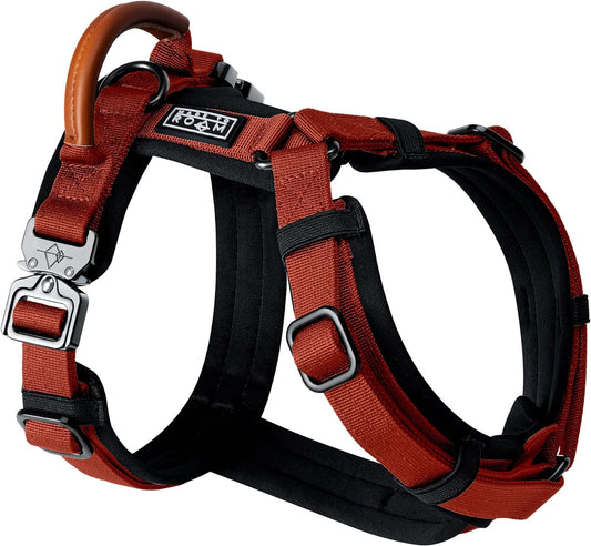 MADE TO ROAM Premium Explorer Harness - Y-Shaped Dog Harness with Adjustable Durable Nylon, Soft Padding, Metal Buckles and Leather Handle for Small, Medium, Large Dogs (Texas Flair, Size 7)