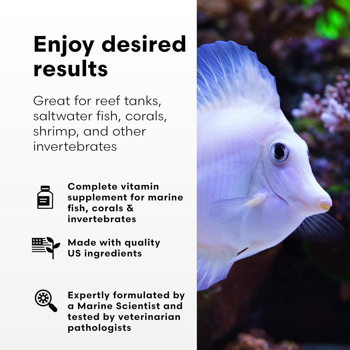 Brightwell Aquatics Vitamarin-M – Complete Vitamin Supplement for Marine Fish, Corals & Invertebrates – Supports Growth, Color & Immune Health – No Refrigeration, 250 ml