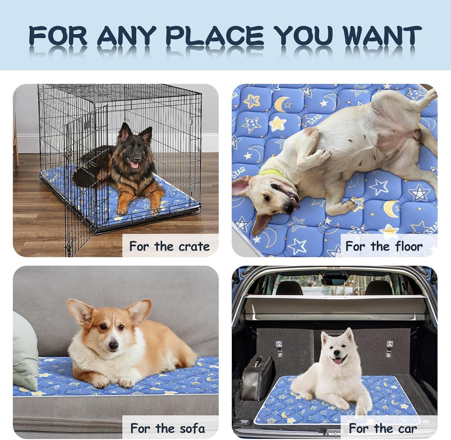 Bubble bear Dog Crate Mat - Ultra Soft, Washable & Anti-Slip Kennel Pad for Small/Medium/Large Dogs, Dark-Hued to Hide Stains (48"x30")