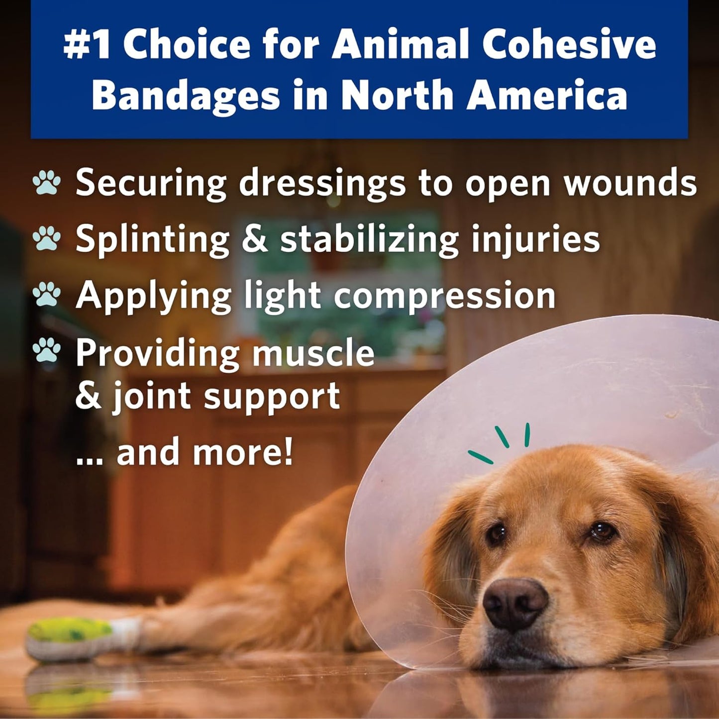 PetFlex No Chew – Flexible Self-Adhering Elastic Bandage for Wound Care – First Aid Wrap for Small Animals Like Dogs, Cats, and Other Pets - 2 inch, 6 Rolls