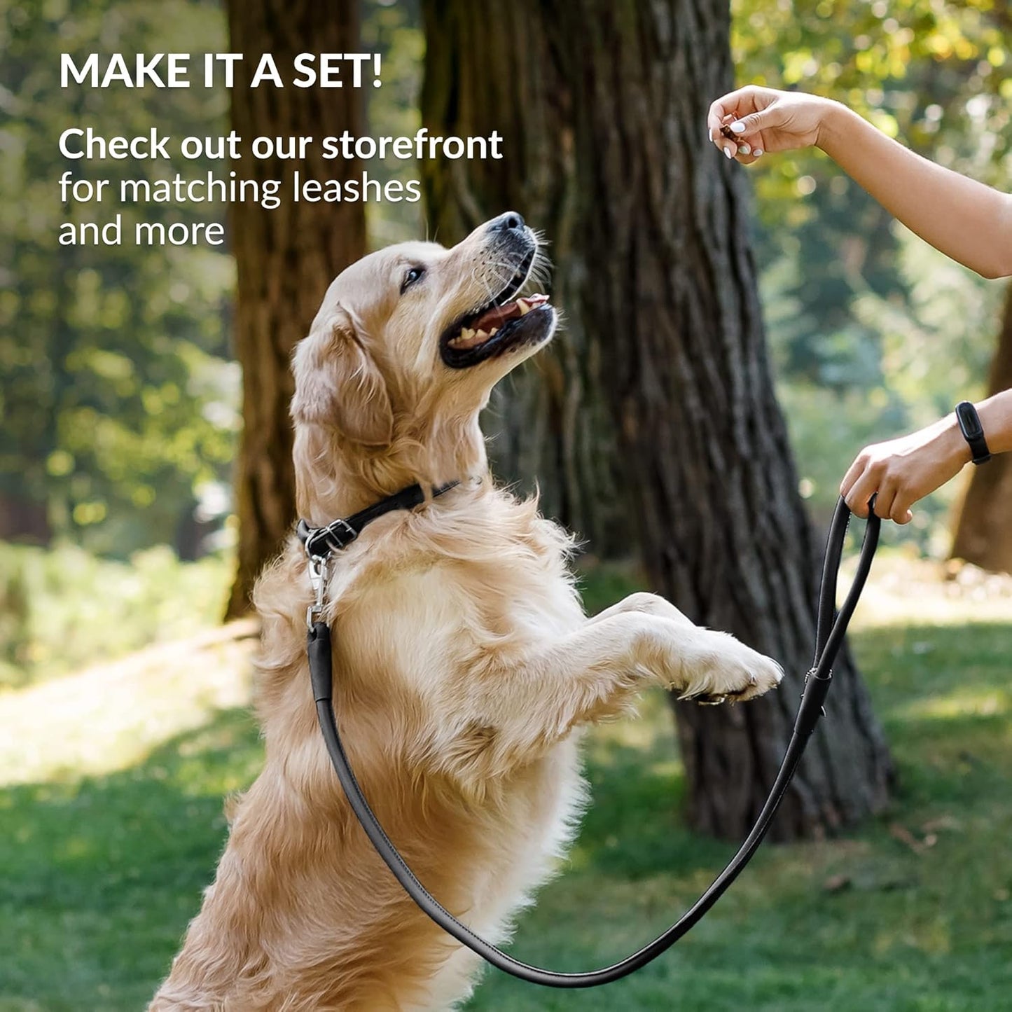 CollarDirect Rolled Leather Dog Collar, Soft Padded Round Puppy Collar, Handmade Genuine Leather Collar Dog Small Large Cat Collars 13 Colors (6 Inch, Black Smooth)