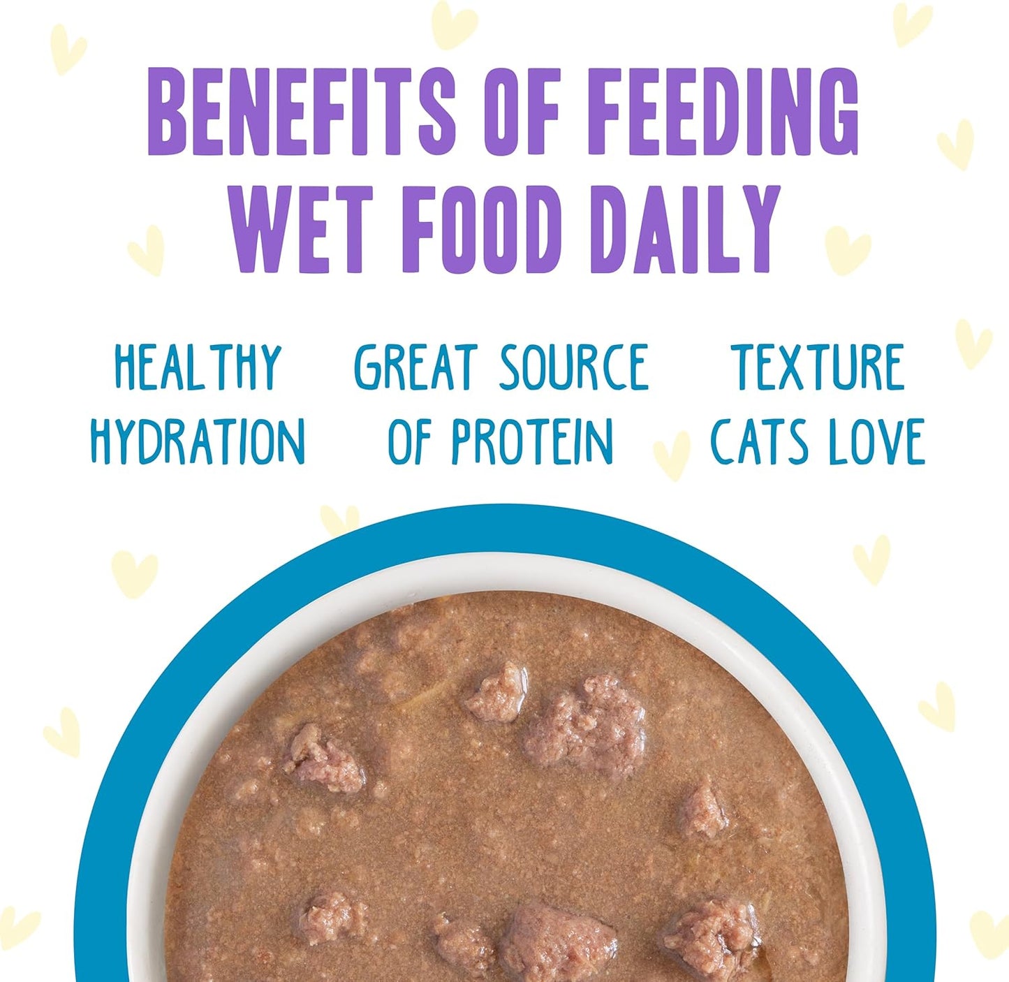 Weruva B.F.F. OMG - Best Feline Friend Oh My Gravy!, Chicken Charge Me Up with Chicken in Gravy, 2.8oz Pouch (Pack of 12)