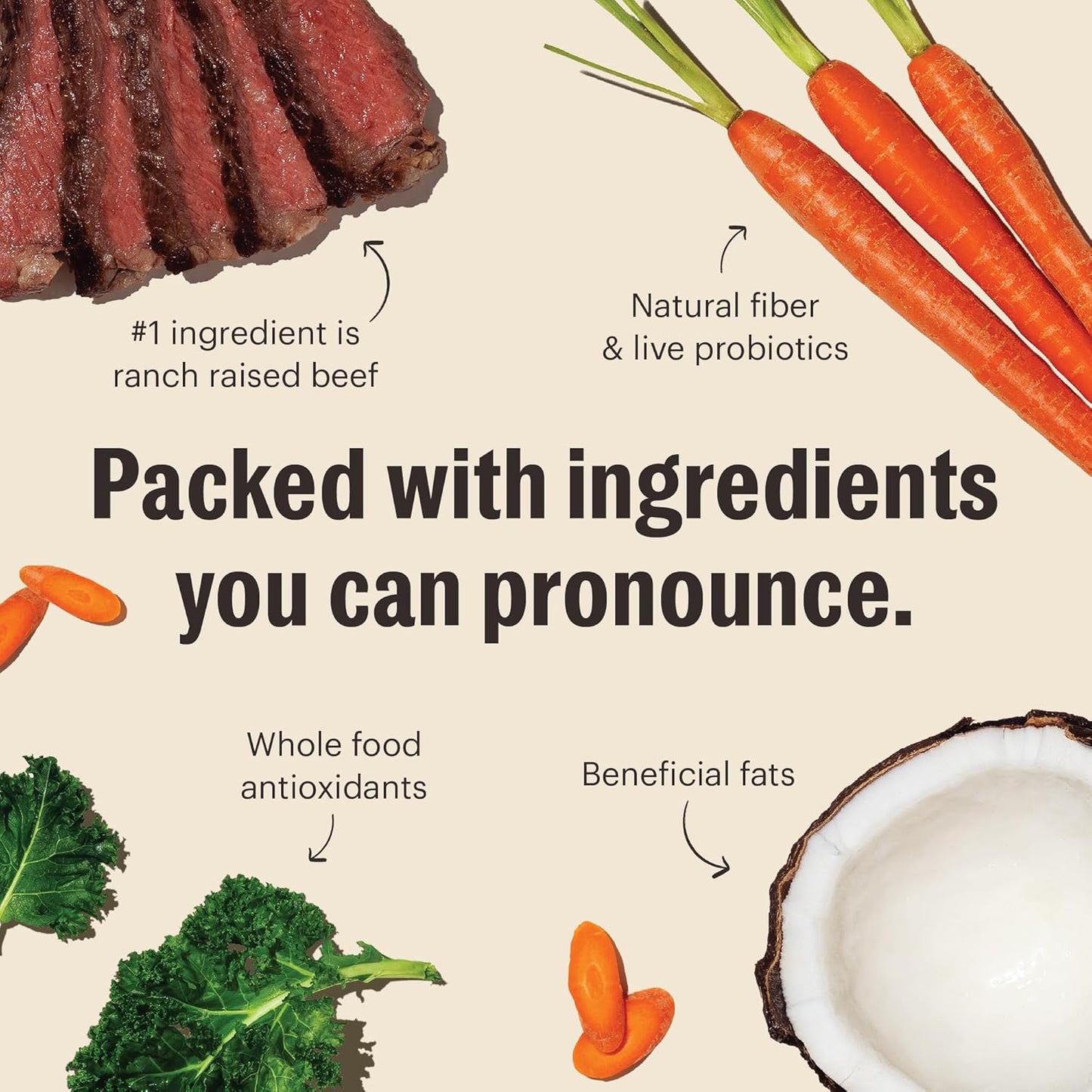 The Honest Kitchen Whole Food Clusters Dog Grain Free Beef 10 lb Bag