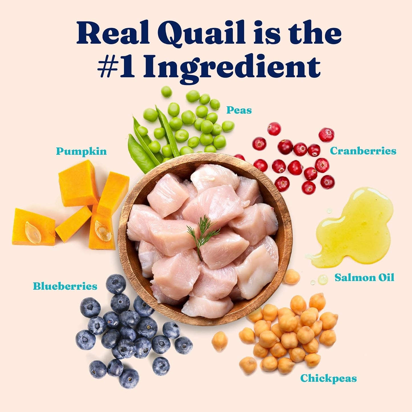 Solid Gold Sensitive Stomach Dry Cat Food - Grain Free & Gluten Free Sensitive Stomach Cat Food for Indoor Adult & Senior Cats - Dry Kibble for Cats w/Quail, Pumpkin & Probiotics for Gut Health - 3lb