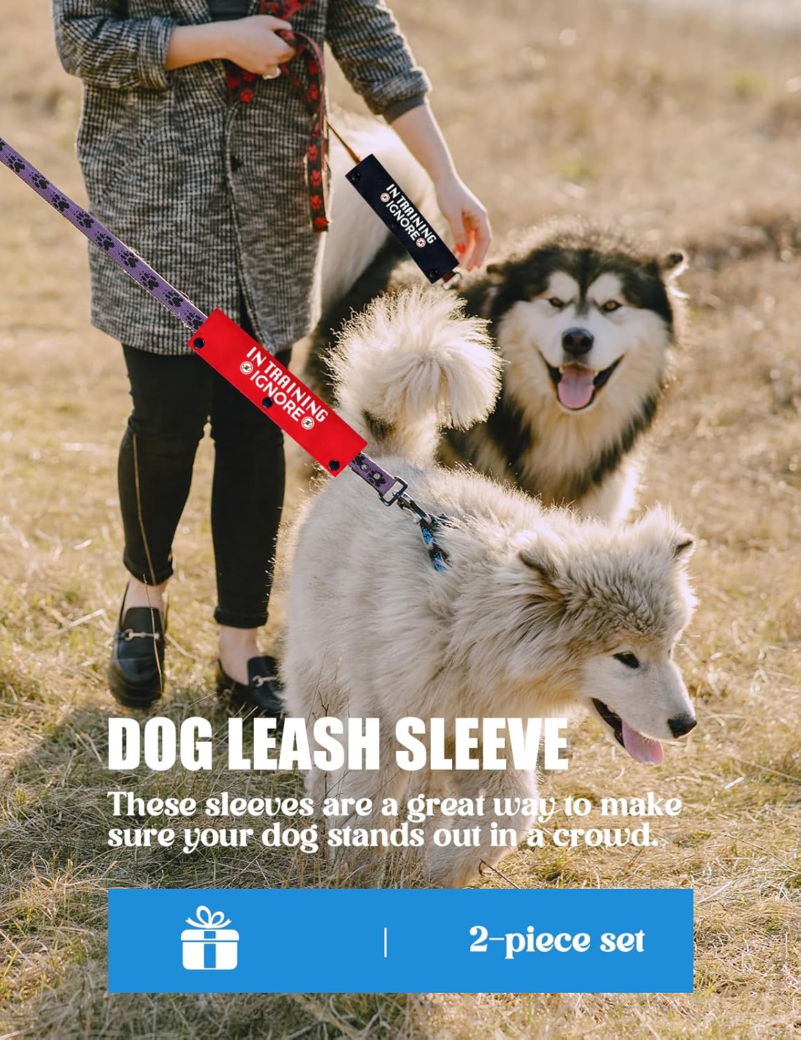 in Training Ignore Dog Leash Sleeve, Funny Yellow Dog Leash Wrap Alert Hanging ID Patch Tag, in Training Leash Wrap Service Dog Leash Wrap Pet Birthday Gifts for Dog Owners