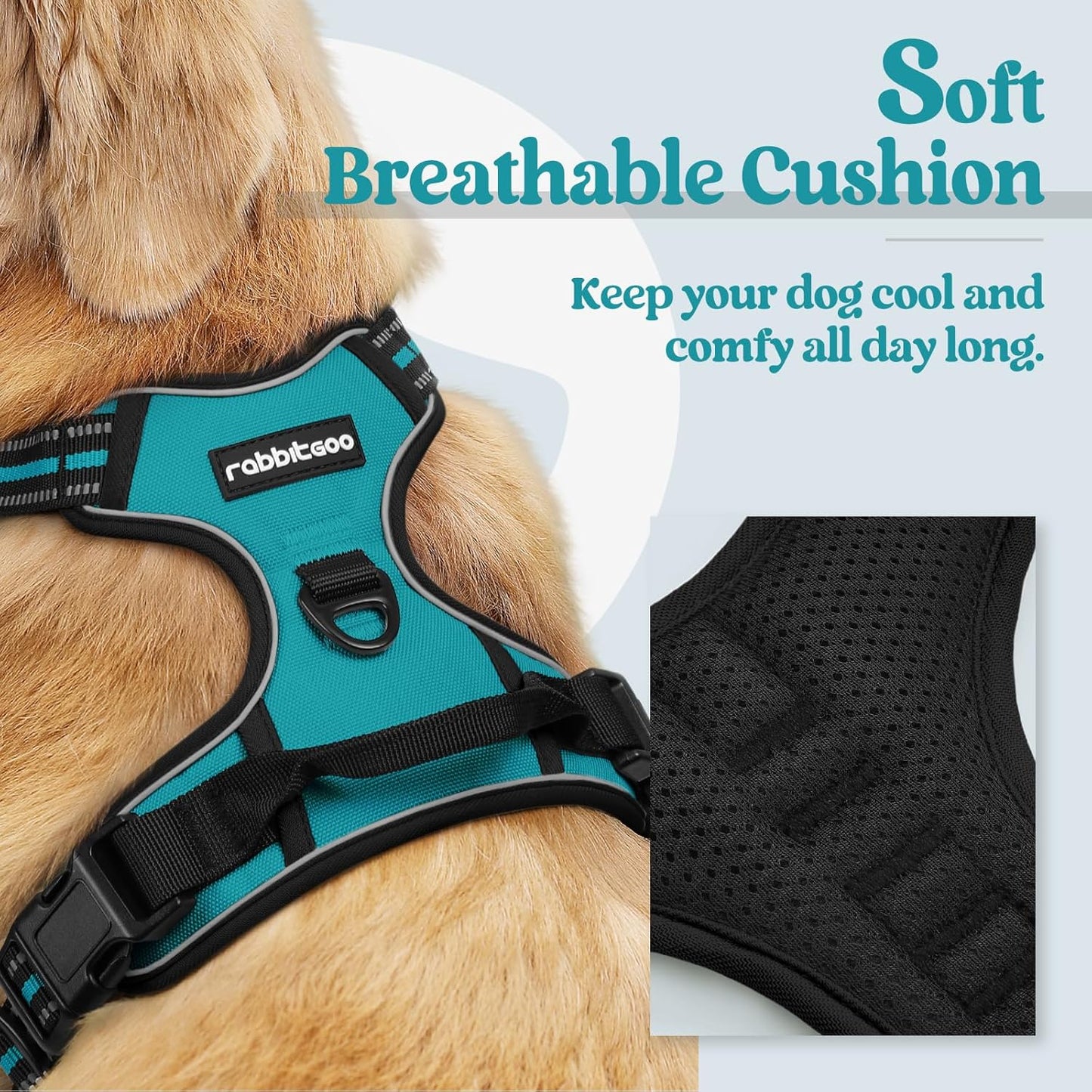 rabbitgoo Dog Harness No Pull with 2 Leash Clips, Adjustable Soft Padded, Reflective Oxford No Choke Pet Vest with Easy Control Handle for Medium Sized Dogs, Teal, M