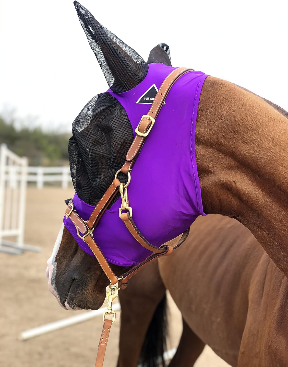 Horse Fly Mask Super Comfort Horse Fly Mask Elasticity Fly Mask with Ears We Only Make Products That Horses Like… (Dk Purple, M)
