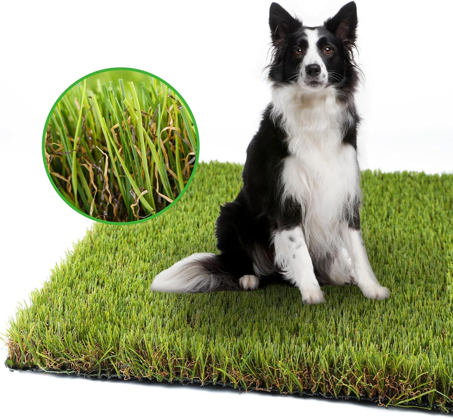 Artificial Grass Turf for Dogs 5 ft x 10 ft, 1.38 Inch Fake Grass Pee Pad for Potty Training, Extra Large Rug for Indoor/Outdoor Patio, Wee Wee Pad, Turf Mat for Pets