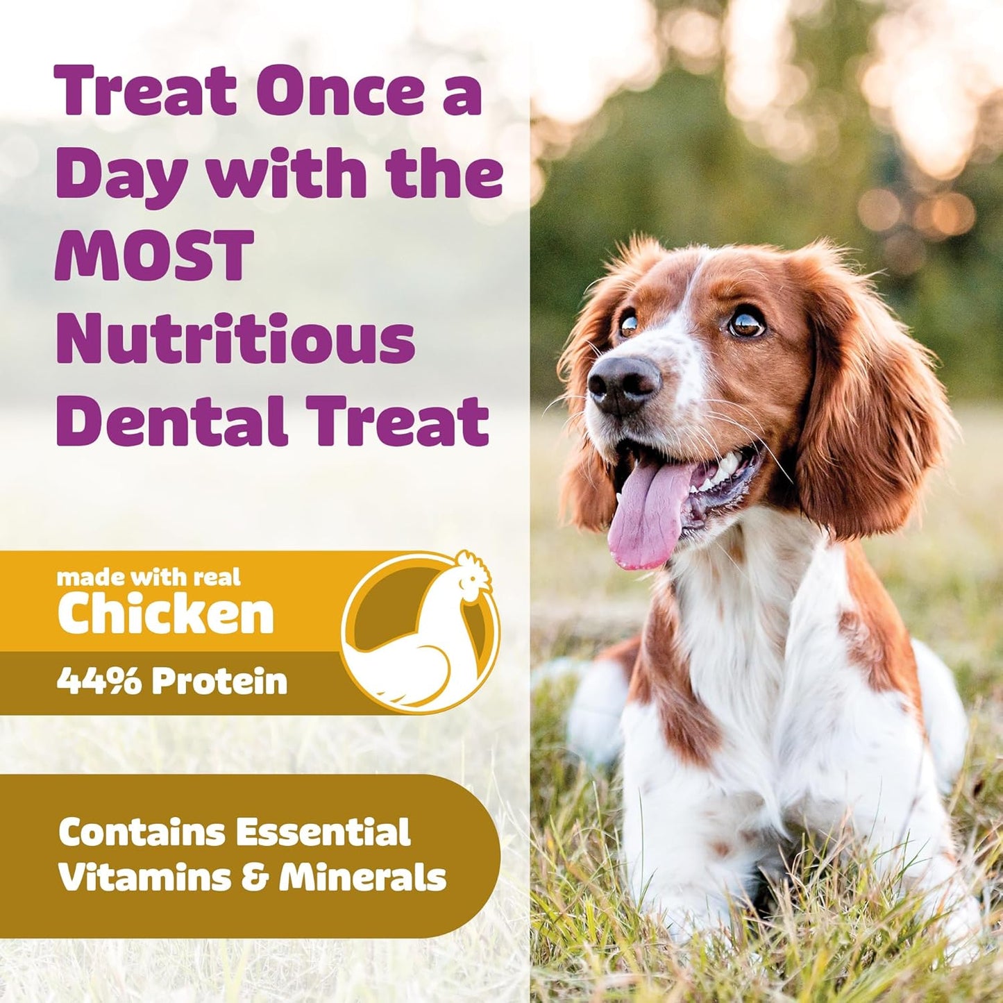 Dog Dental Treats – Vet VOHC Approved – Delicious Chicken Protein – Removes Tartar with Cleaning Comb Shape – Dental Dog Treats for Large Dogs (12oz, 9 Count)