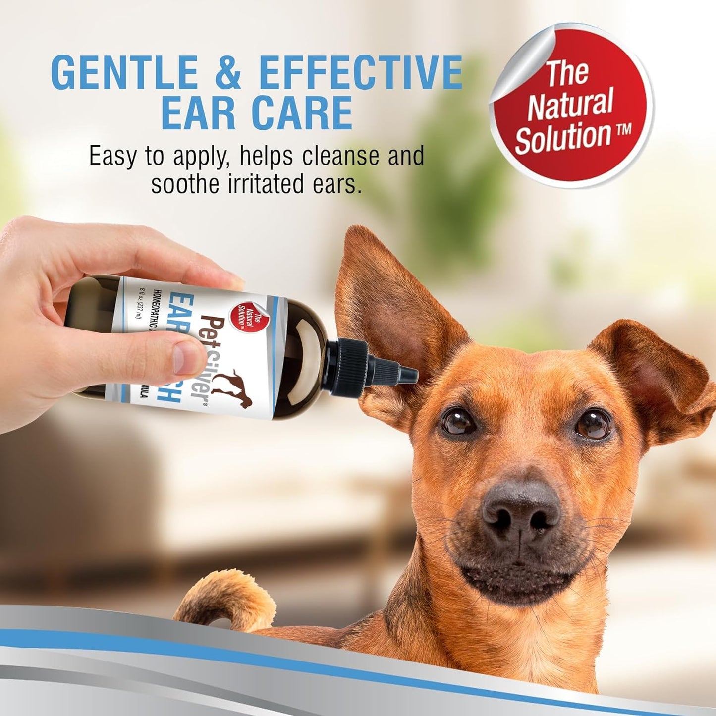 PetSilver Ear Cleaner for Dogs & Cats – Gentle Otic Rinse with Chelated Silver Formula – Supports Clear, Comfortable Ears – Easy to Use – Thoughtfully Made in The USA with Care – 8 fl oz