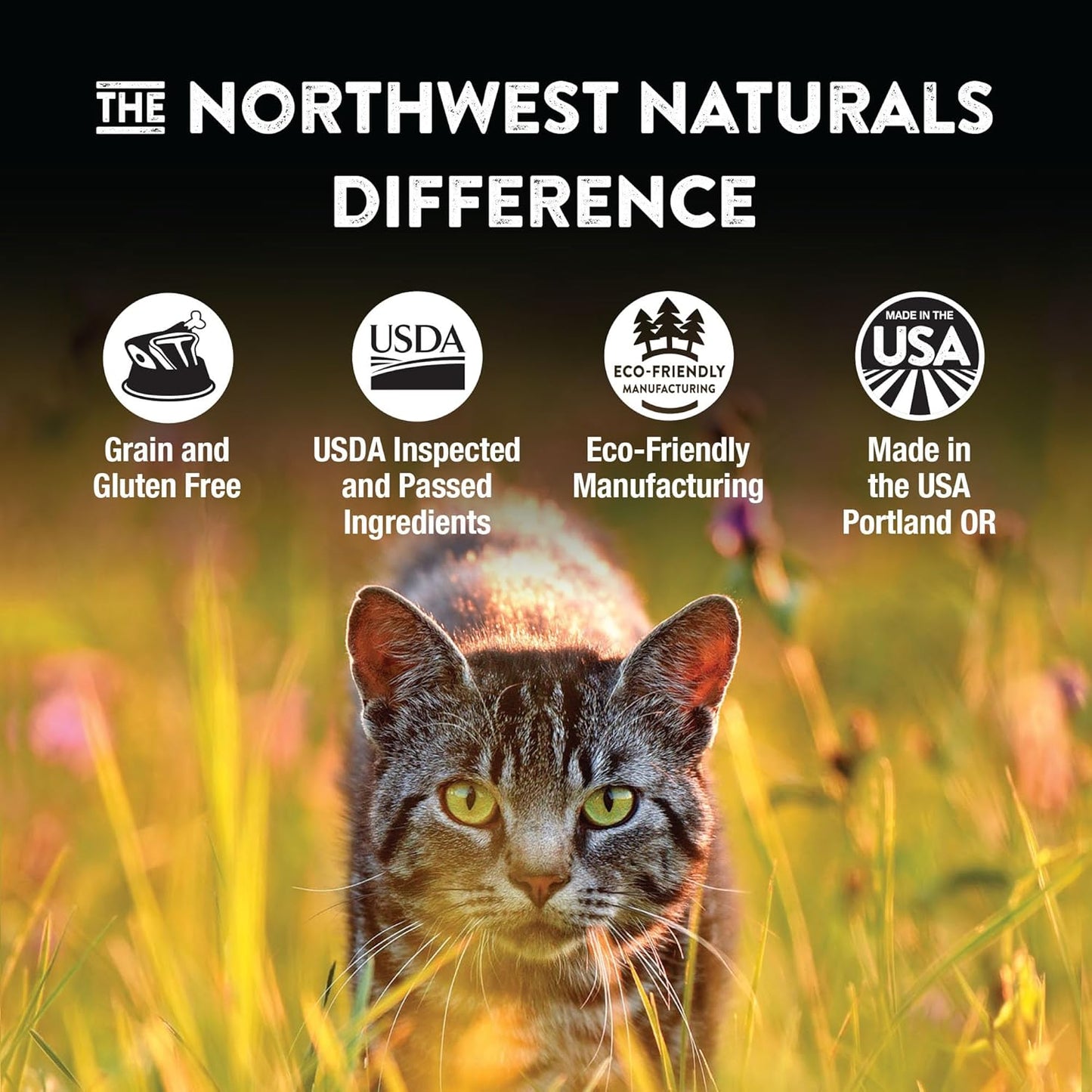 Northwest Naturals Freeze-Dried Beef & Trout Cat & Kitten Food, Bite-Sized Nibbles, Healthy, Limited, Human-Grade Ingredients, All-Natural, High-Protein Raw Diet, Complete & Balanced, Grain-Free 11 oz