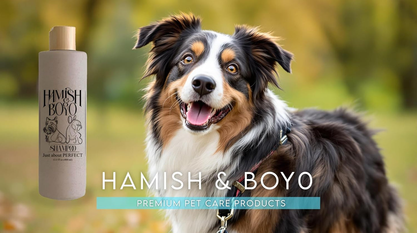 Natural Itch Relief Dog Shampoo – Hypoallergenic & Anti-Itch, Soothes Dry, Sensitive Skin, Oatmeal & Aloe, Lavender Scent, Tear-Free, Safe for Puppies & All Breeds, Made in USA by Hamish&Boyo
