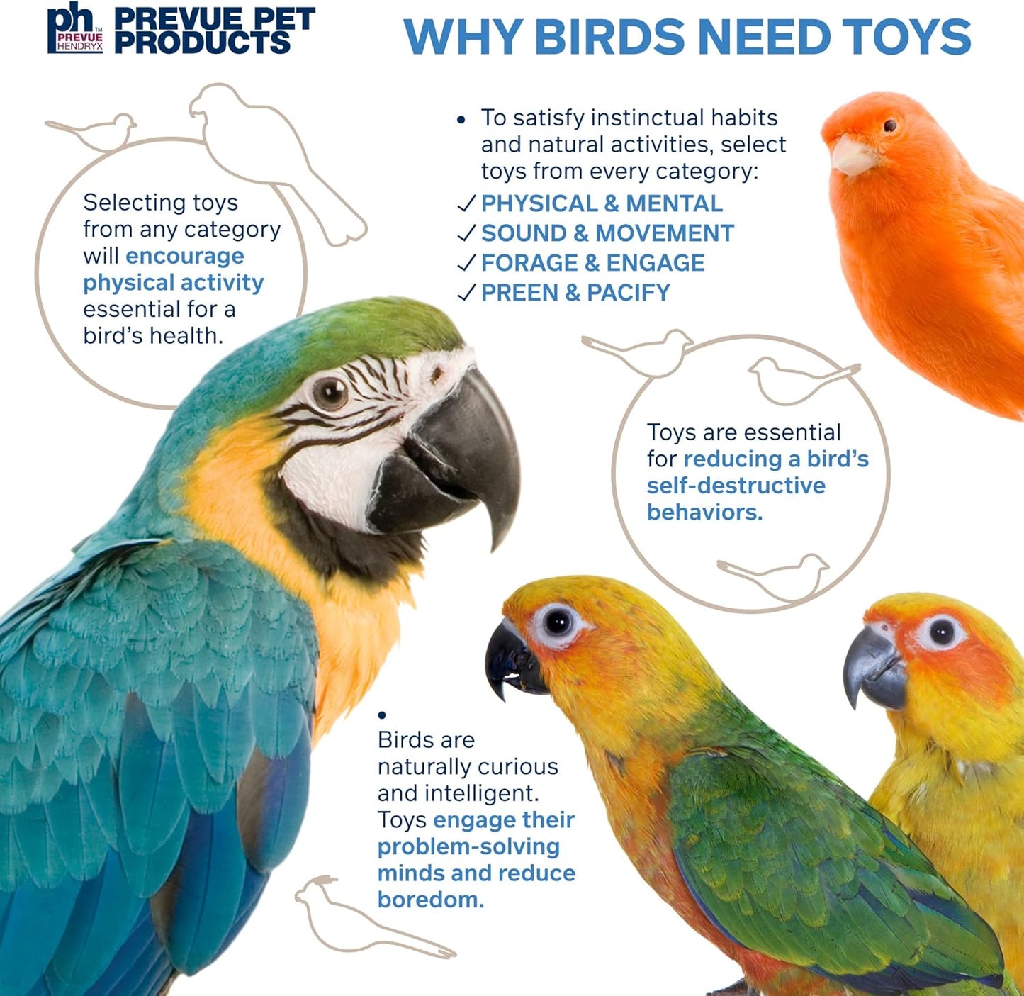 Pervue Pet Products Naturals Preen & Pacify Woodland Harvest Bird Toy 62549