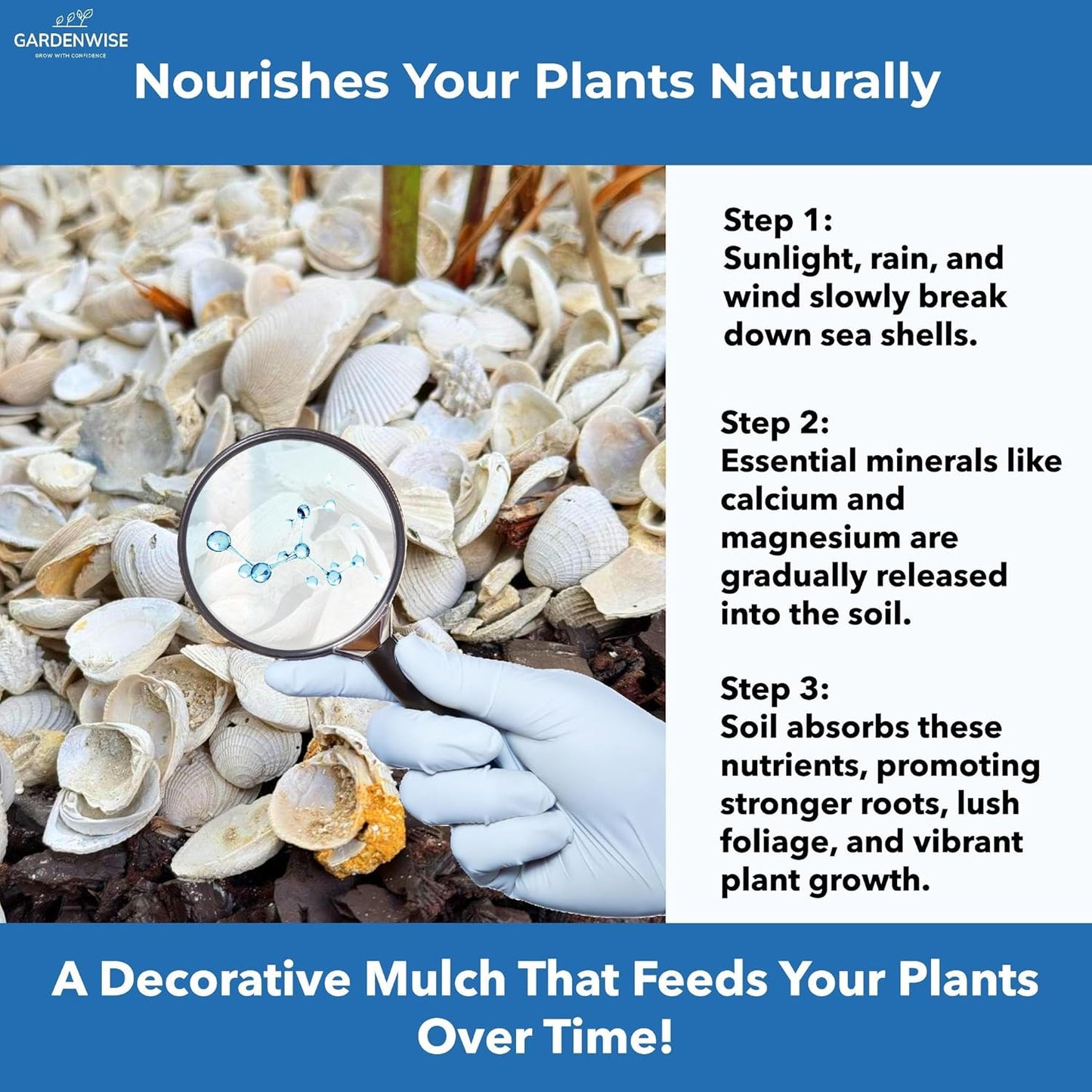 Natural Organic Sea Shell Mulch for Gardens and Landscaping – Decorative and Nutrient-Rich, 0.5–3-Inch Shells, Perfect for Indoor and Outdoor Use(1 CF - 28 L - 30 QTS)