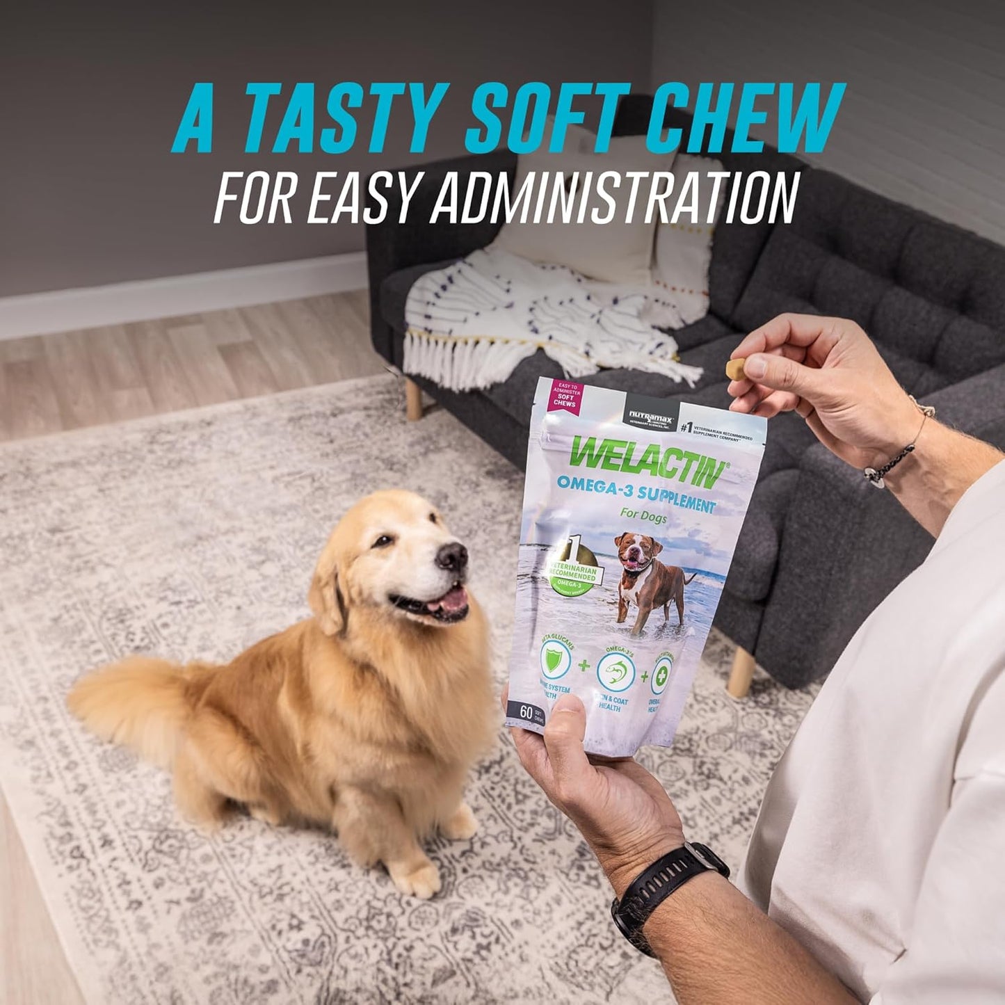 Nutramax Welactin Omega 3 Fish Oil for Dogs, Skin and Coat Health Supplement, Plus Immune and Overall Health, Premium Omega 3 Fatty Acids, Multivitamin For Dogs, Soft Chews, 60 Count