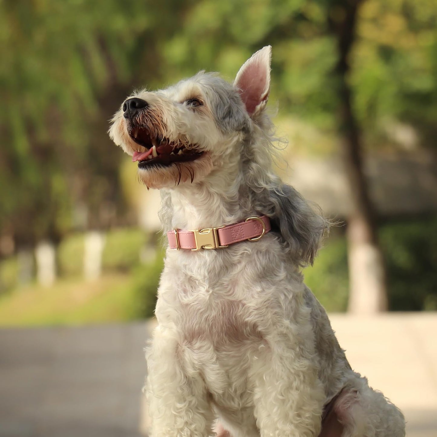 PET ARTIST Soft PU Leather Dog Collar, Bright & Classic Pink Dog Collar with Quick Release Rose Metal Buckle, Adjustable Nylon Padded Durable Pet Collars for Large Dogs Girl, Neck Fit 16-27"