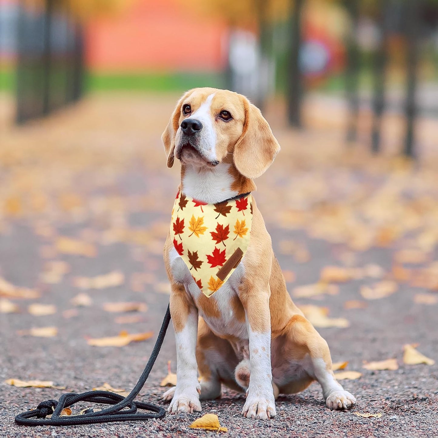 Realeaf Fall Dog Bandanas 2 Pack, Orange Pumpkin and Leaf Print Pet Scarf for Boy and Girl, Premium Durable Fabric, Holiday Bandana for Small and Medium Dogs (Small)