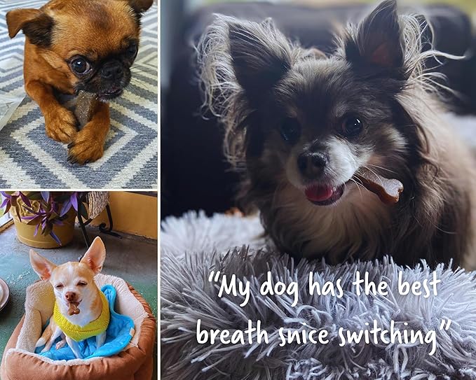 Earthbones Dental for Large Dogs, 90ct (6pk)