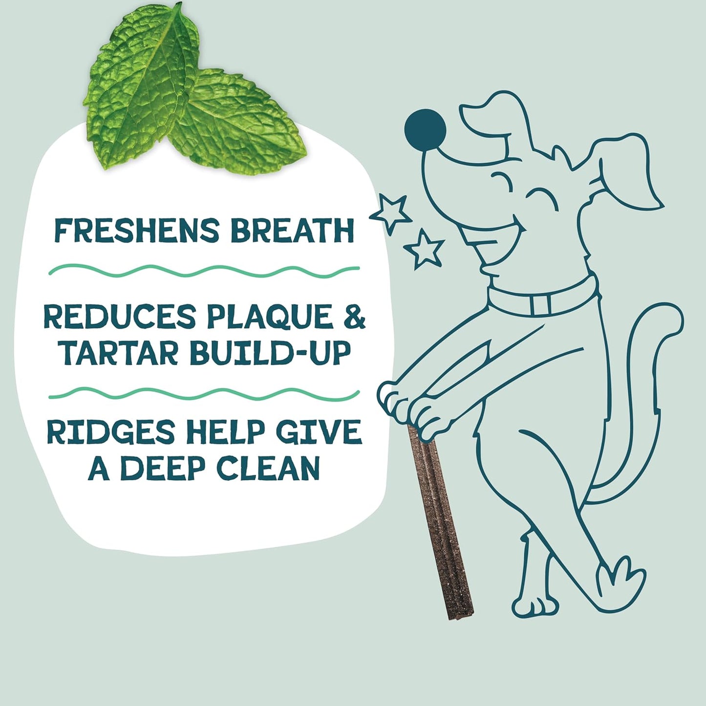 Shameless Pets Dental Chews for Dogs, Mighty Mint Dental Sticks, Healthy Treats for Teeth Cleaning & Fresh Breath - Free from Grain, Corn, & Soy for Small Dogs, 32 Sticks
