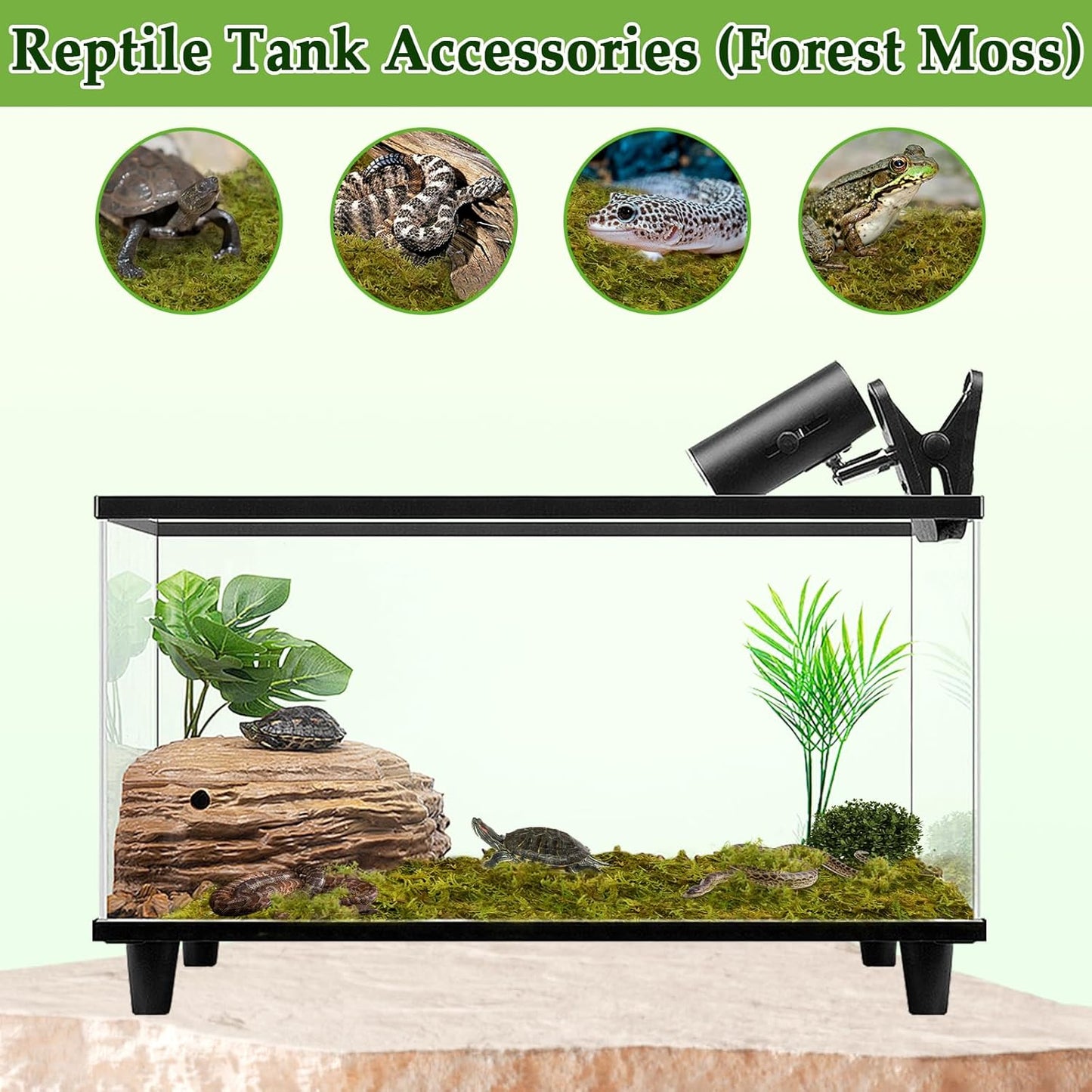 Halatool 1.1LB Natural Sphagnum Moss for Reptiles- 25QT Green Live Moss for Terrarium Plants Long Fiber Reptile Moss for Leopard Gecko Snake Hamsters Tortoises Frogs Lizards Salamanders