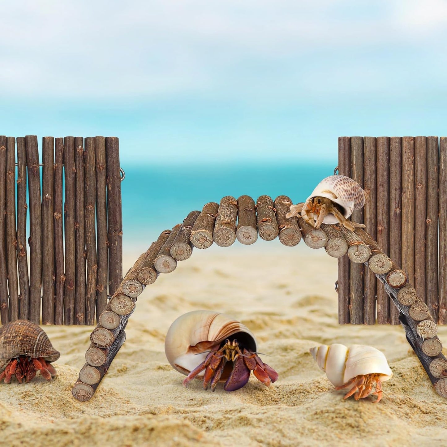 2PCS Reptile Hideout Hermit Crab Bendable Bridge, Wooden Hermit Crab Hideout Climbing Toys, Reptile Tank Habitat Decor Hiding Hut for Lizards, Mice, Spiders