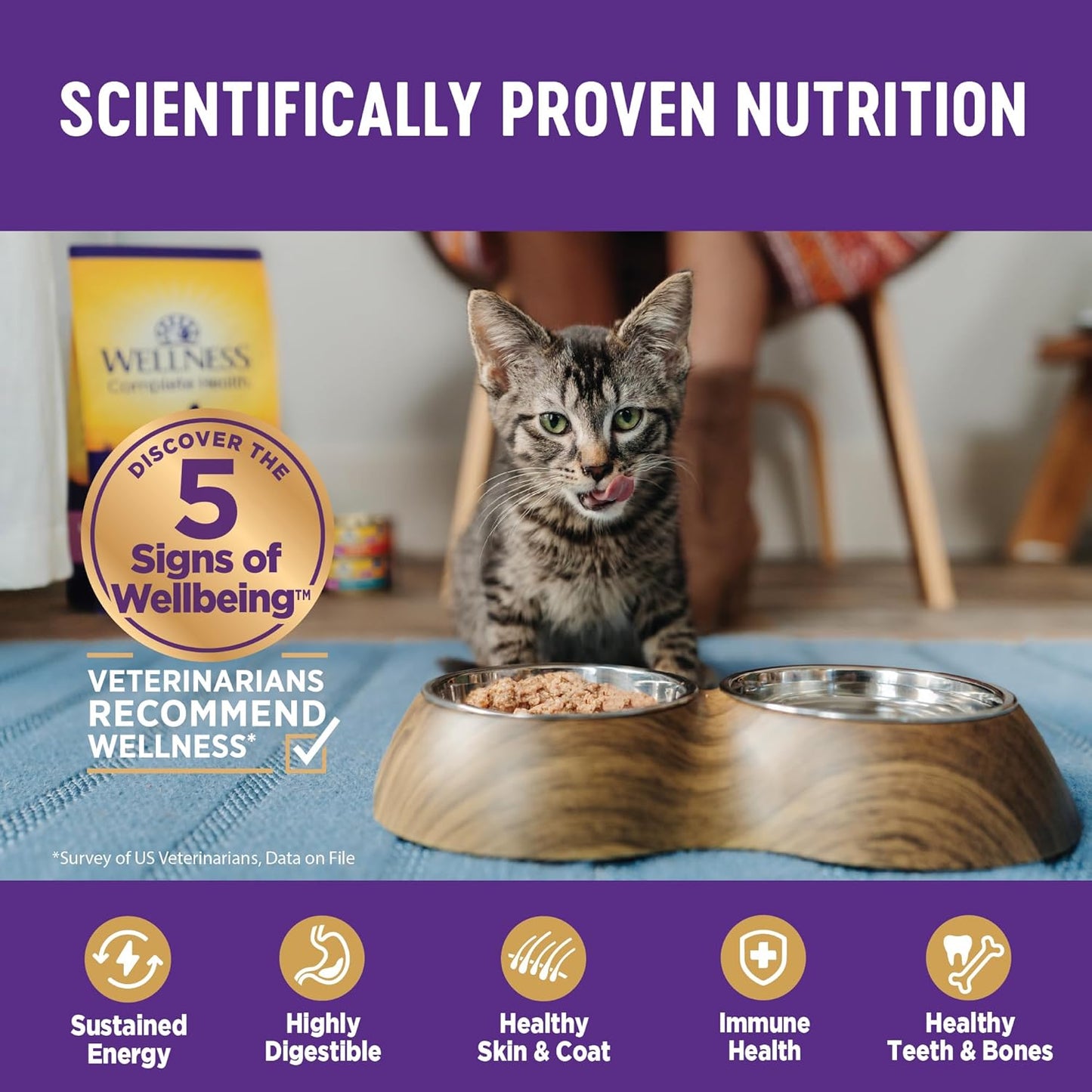 Wellness Complete Health Pate Adult Wet Cat Food, Natural, Protein-Rich, Grain Free, 3 Ounce, 24 Pack, (Turkey)