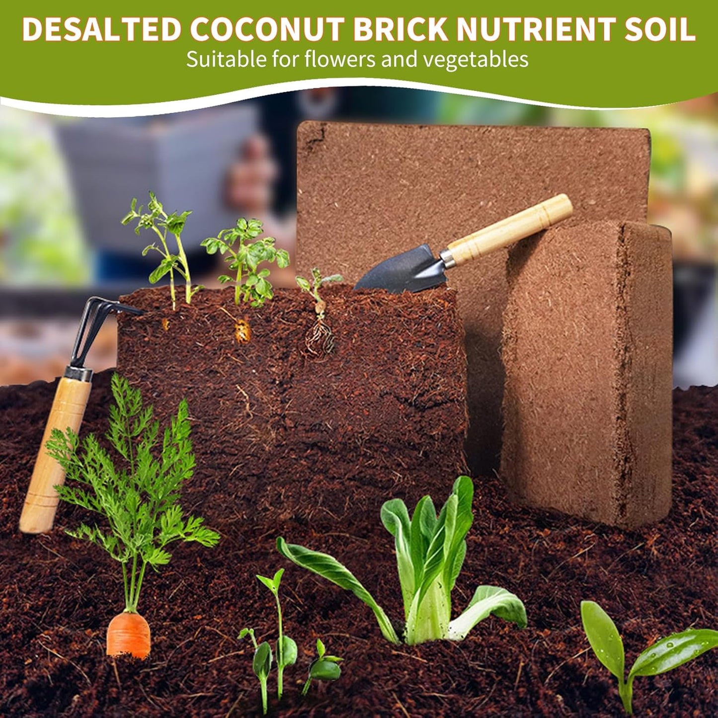 Coco Coir Brick for Plants- 1 Pack,1.4lbs 100% Organic Coconut Coir Soil Neutral pH, for Plant Growth and Root Developmentfor Growing Vegetables & Ideal Reptile Bedding (1)