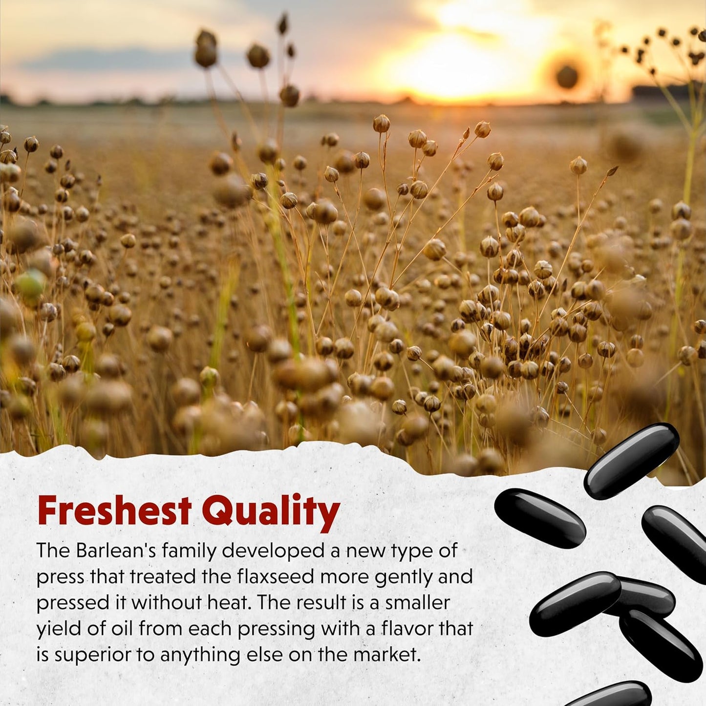 Barlean's Omega 3 6 9 Lignan Flaxseed Oil Supplements, Cold-Pressed Flax Seed Supplement Softgels with 1550 mg ALA Fatty Acids, 100 Count