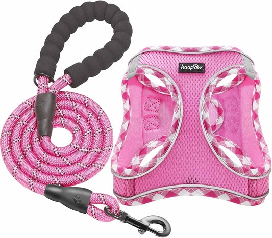 haapaw Dog Harness with Leash Set, No Pull Adjustable Reflective Step-in Puppy Harness with Thickened Padded Vest for Extra-Small/Small Medium Dogs